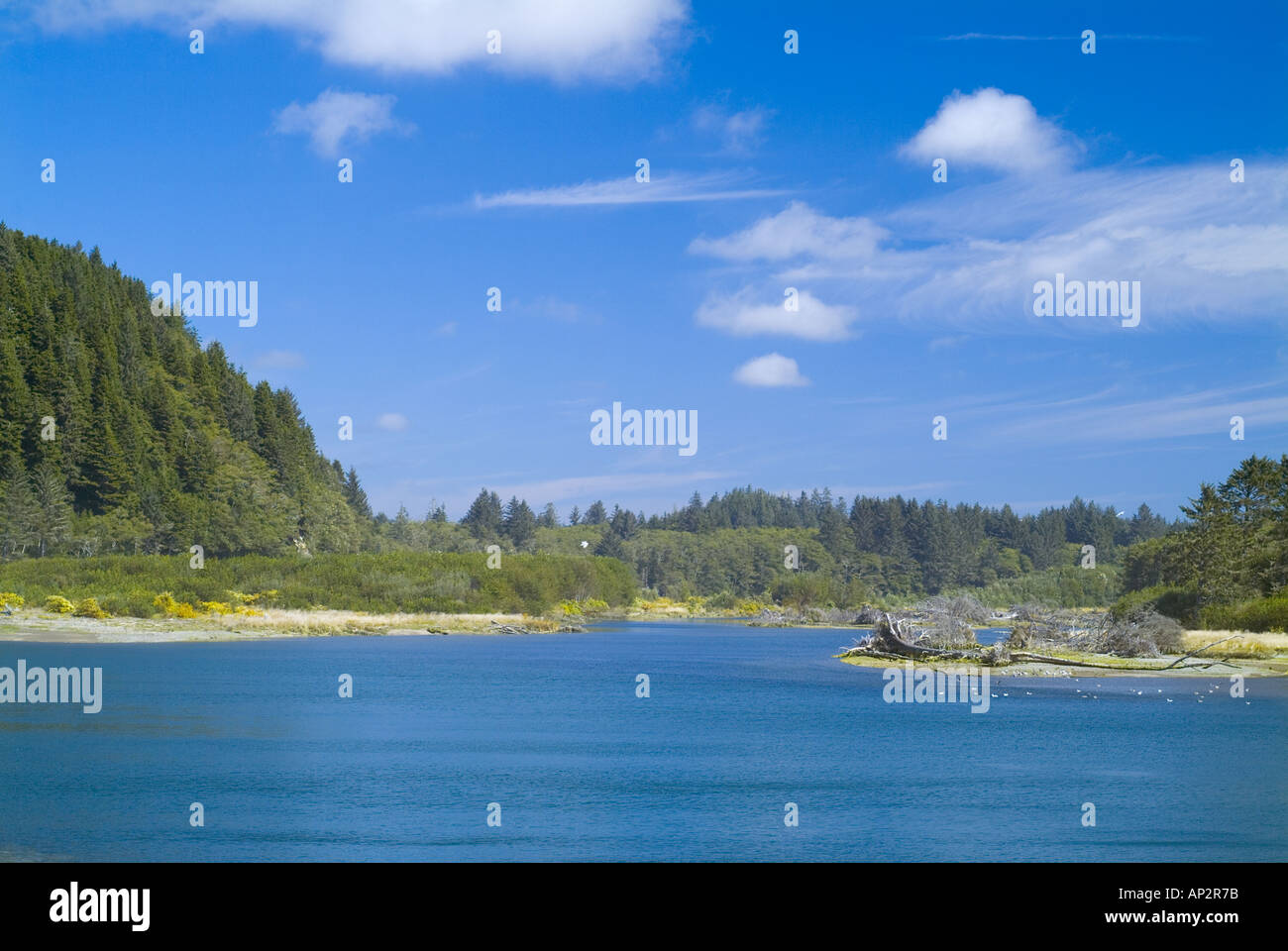 Washington State WA Quillayute River in der Nähe Stadt von La Push und Olympic National Park Mündung des Stockfoto