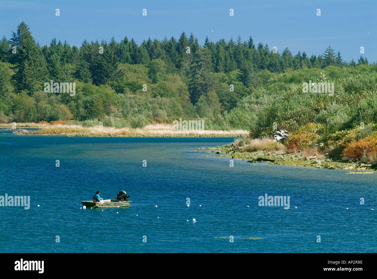 Fischer Washington State WA Quillayute River in der Nähe von Stadt von La Push und Olympic National Park Mund Fischen Fischer Stockfoto