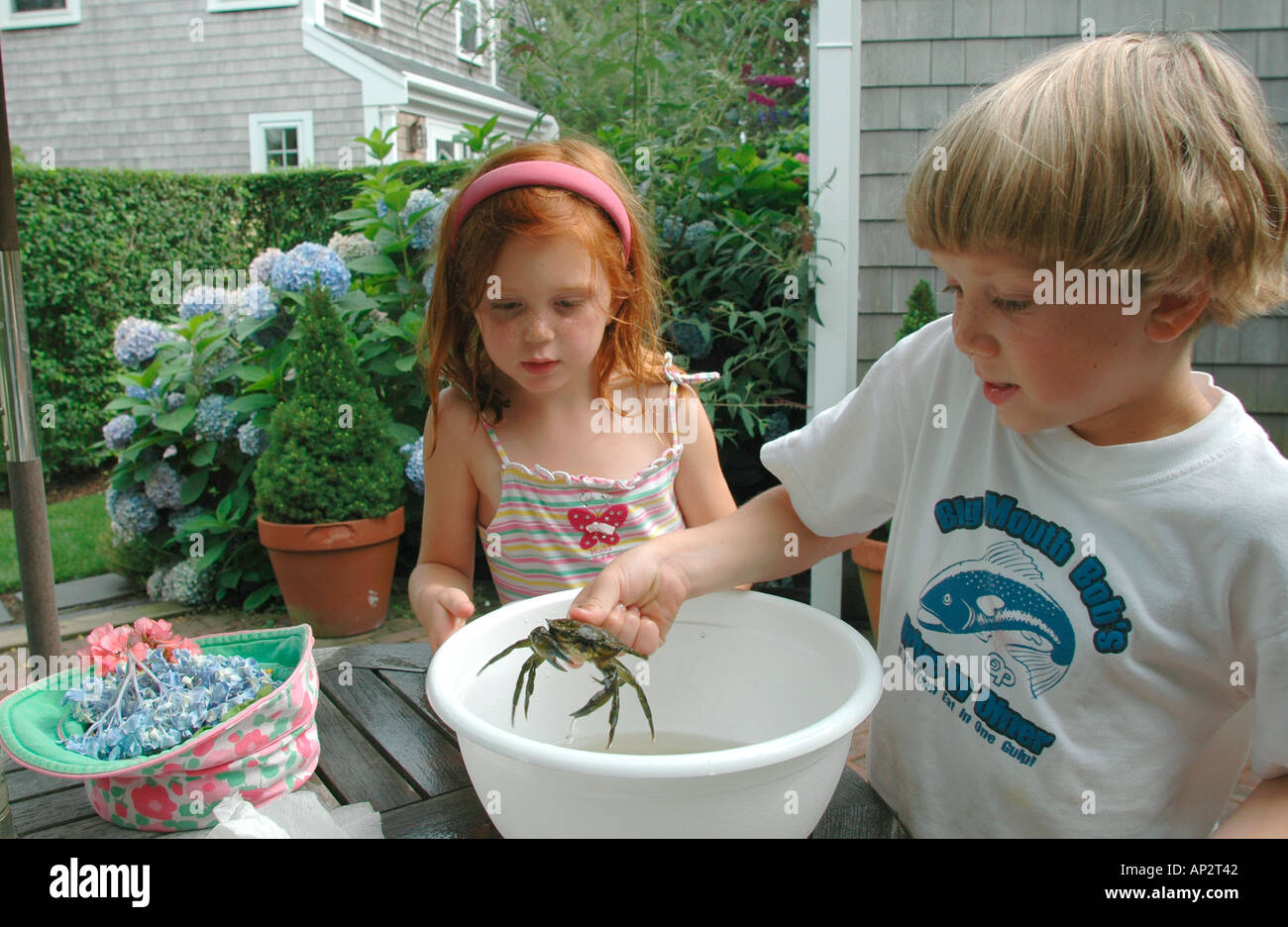 Kinder spielen mit einer aufgezeichneten blaue Krabbe auf Nantucket Island Cape Cod Massachusetts New England USA Stockfoto