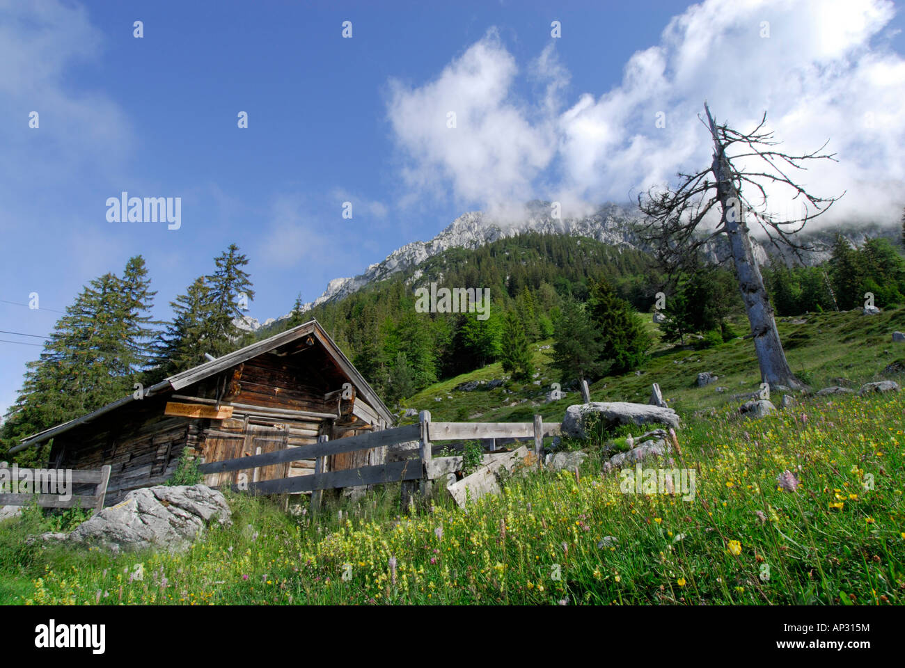 Alphütte Steiner Hochalm, Wilder Kaiser, Kaiser Bereich, Tirol, Österreich Stockfoto