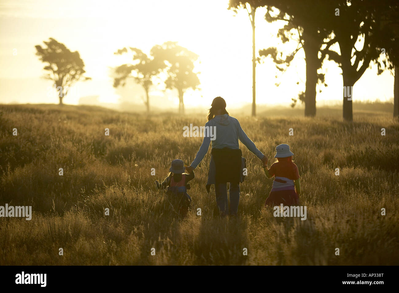 Mother and children wandering through high gras, sunset at the Westcoast, near Haast, South Island, New Zealand Stockfoto
