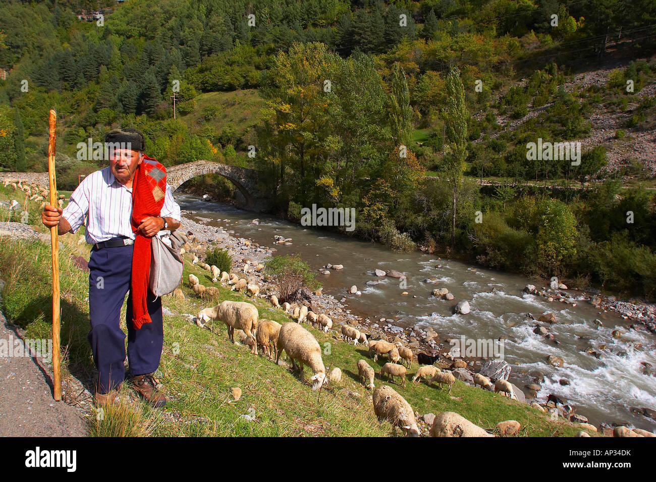 ENFORS mit Römerbrücke, Hirten und Schafe in der Nähe des Dorfes Canfranc, Puerto de Somport, Huesca, Aragon, Spanien Stockfoto