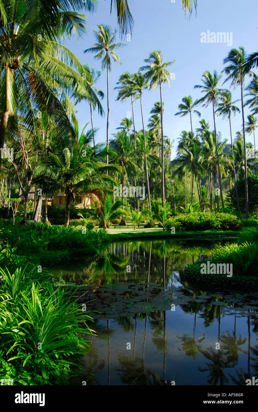 Bungalow im tropischen Garten des Hotel Rayavadee, Hut Phra Nang, Krabi, Thailand Stockfoto