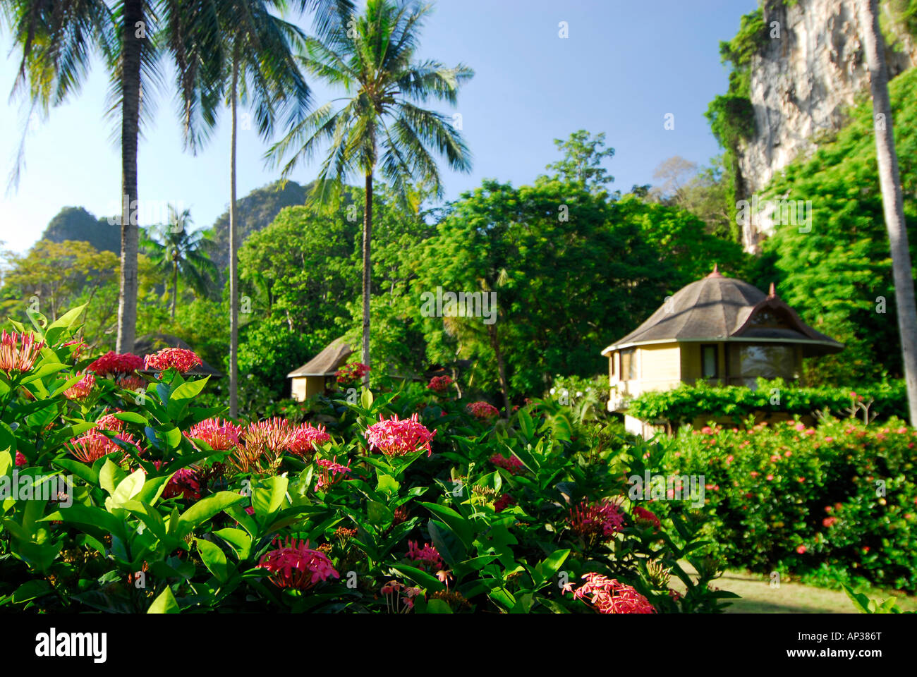 Bungalow im tropischen Garten des Hotel Rayavadee, Hut Phra Nang, Krabi, Thailand Stockfoto