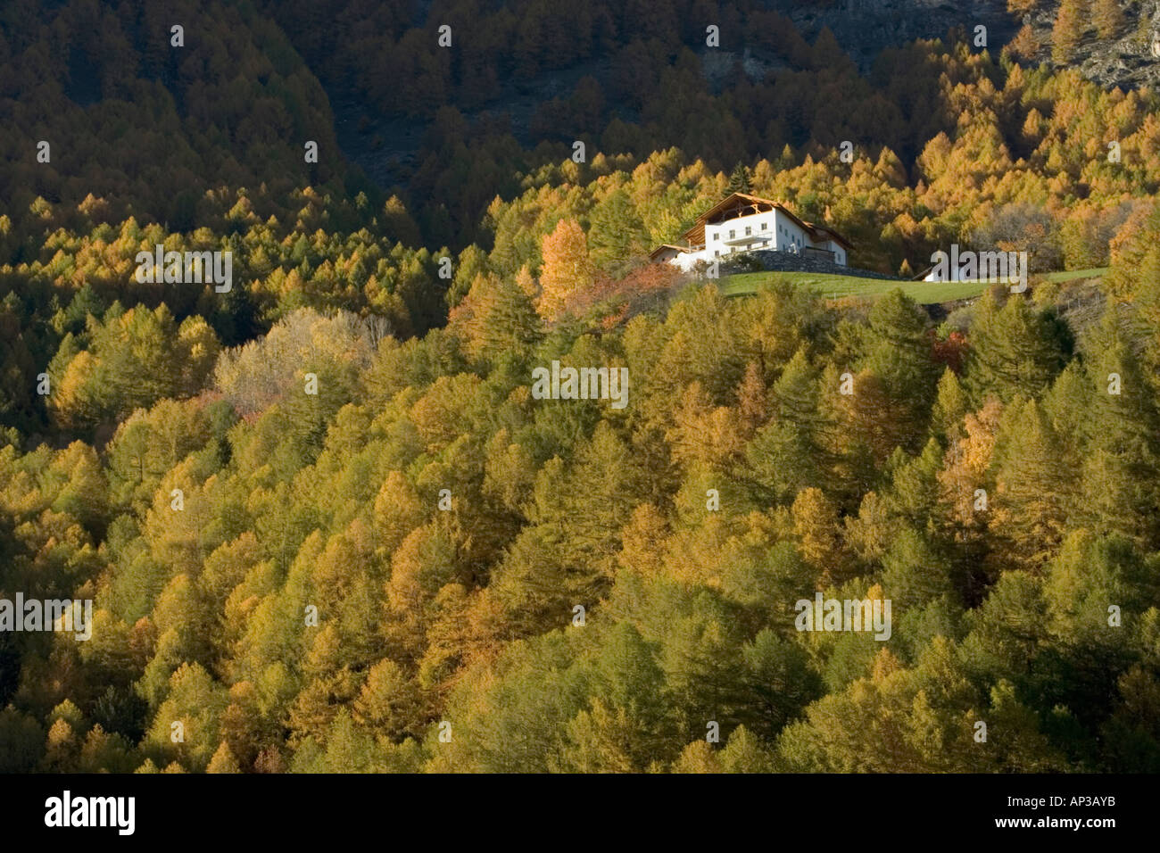 Berg-Bauernhaus Stockfoto