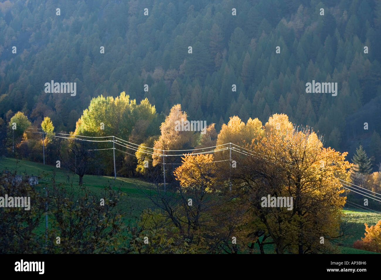 Strom- und Telefonleitungen in einem Bergtal, Italien Stockfoto