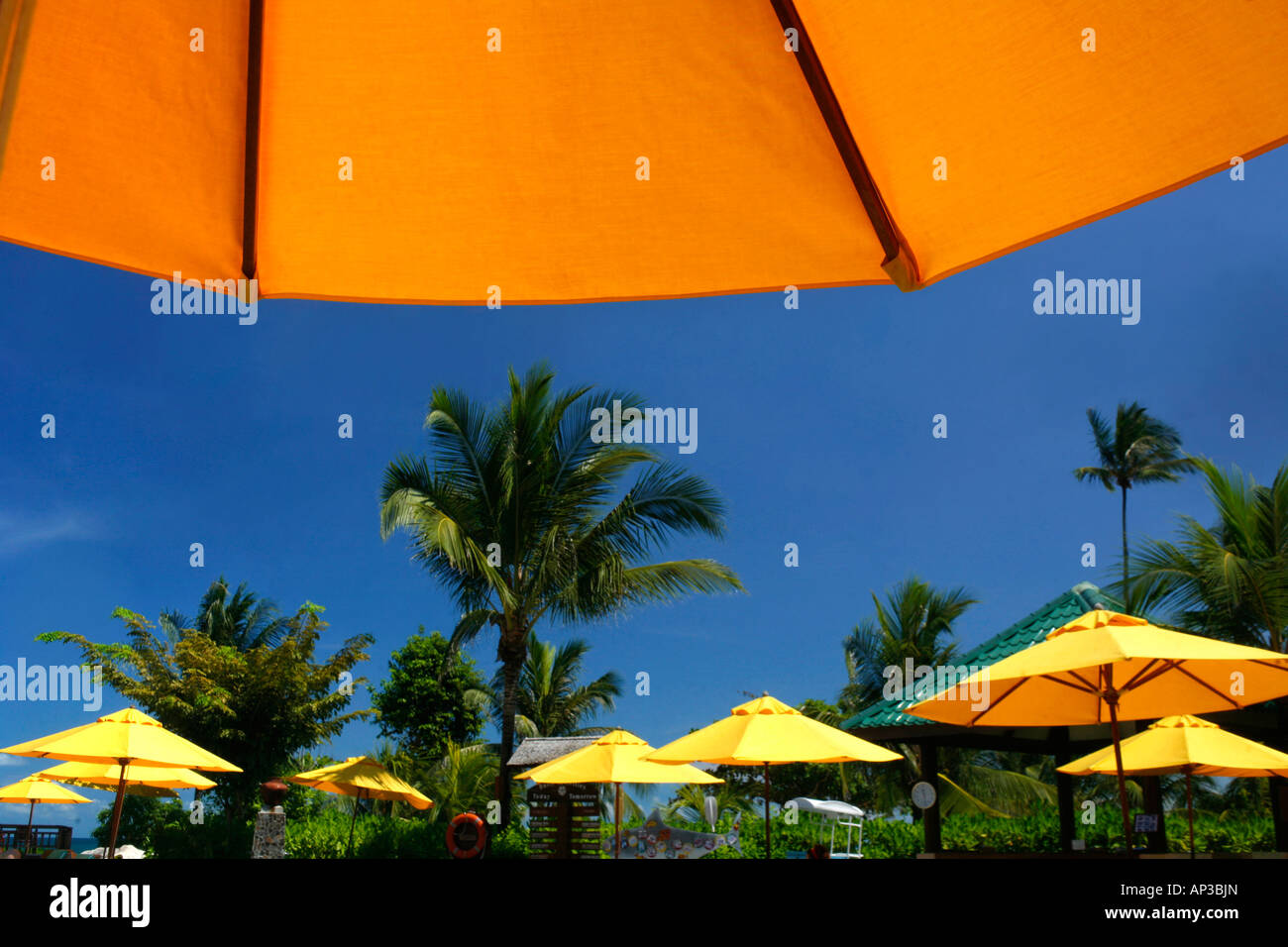 Sonnenschirme, Angsana Resort Bintan Island, Indonesien Stockfoto