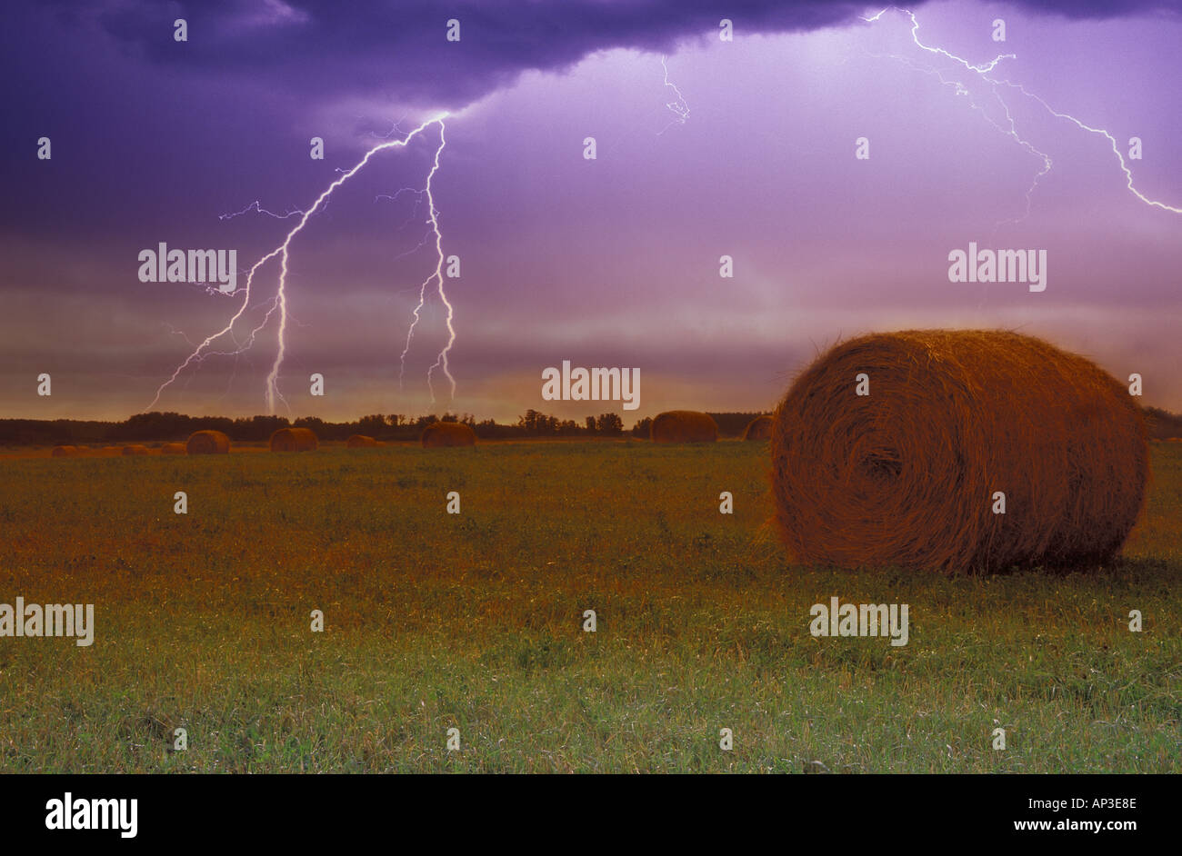 Blitze über einem Feld Stockfoto