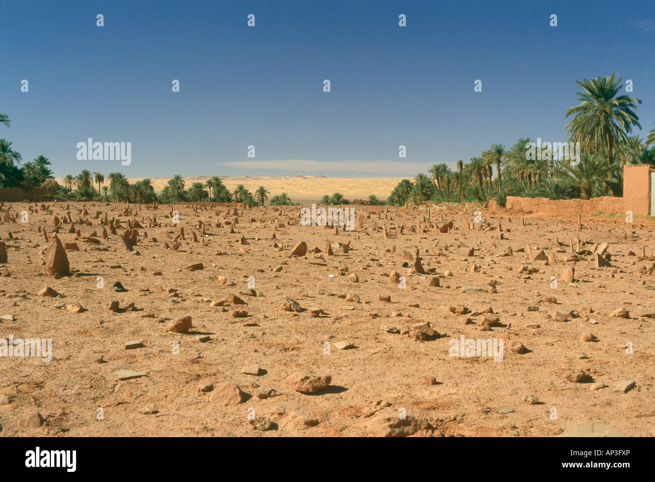 Islamischen Friedhof, Timimoun, Algerien, Afrika Stockfoto