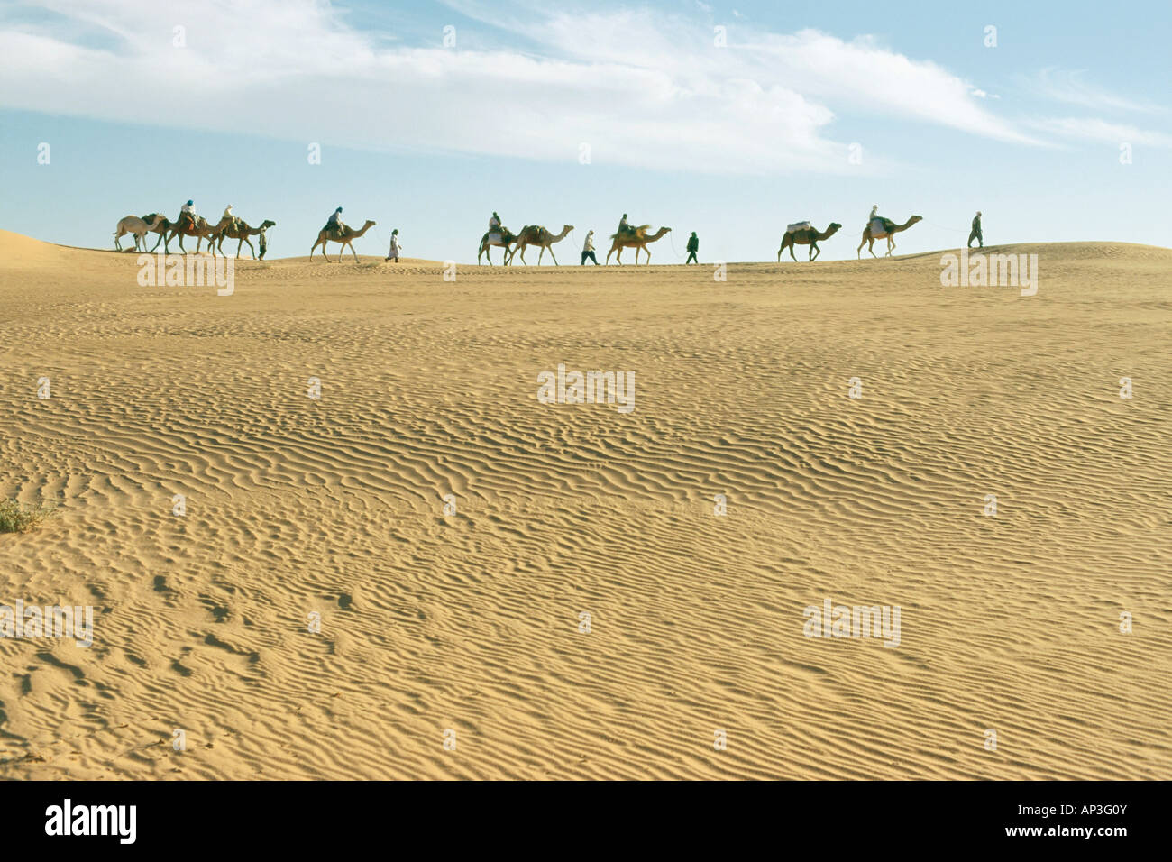 Wohnwagen, Menschen und Kamele am Horizont, Grand Erg Occidental, Sahara, Algerien, Afrika Stockfoto