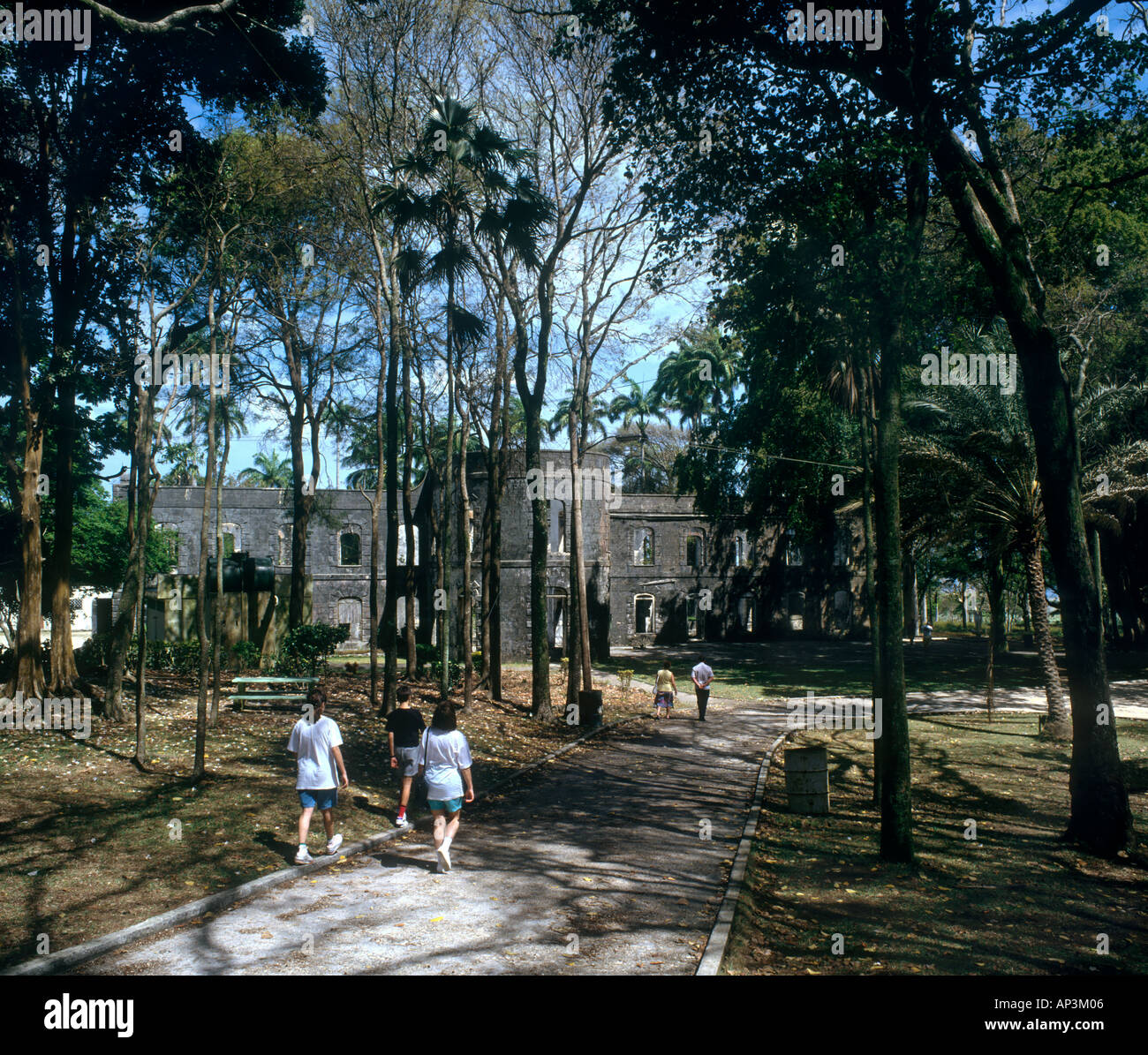 Farley Hill Mansion (Ruinen von 19 Haus durch einen Brand zerstört, 1965), Farley Hill National Park, St Lucy, Barbados, Stockfoto