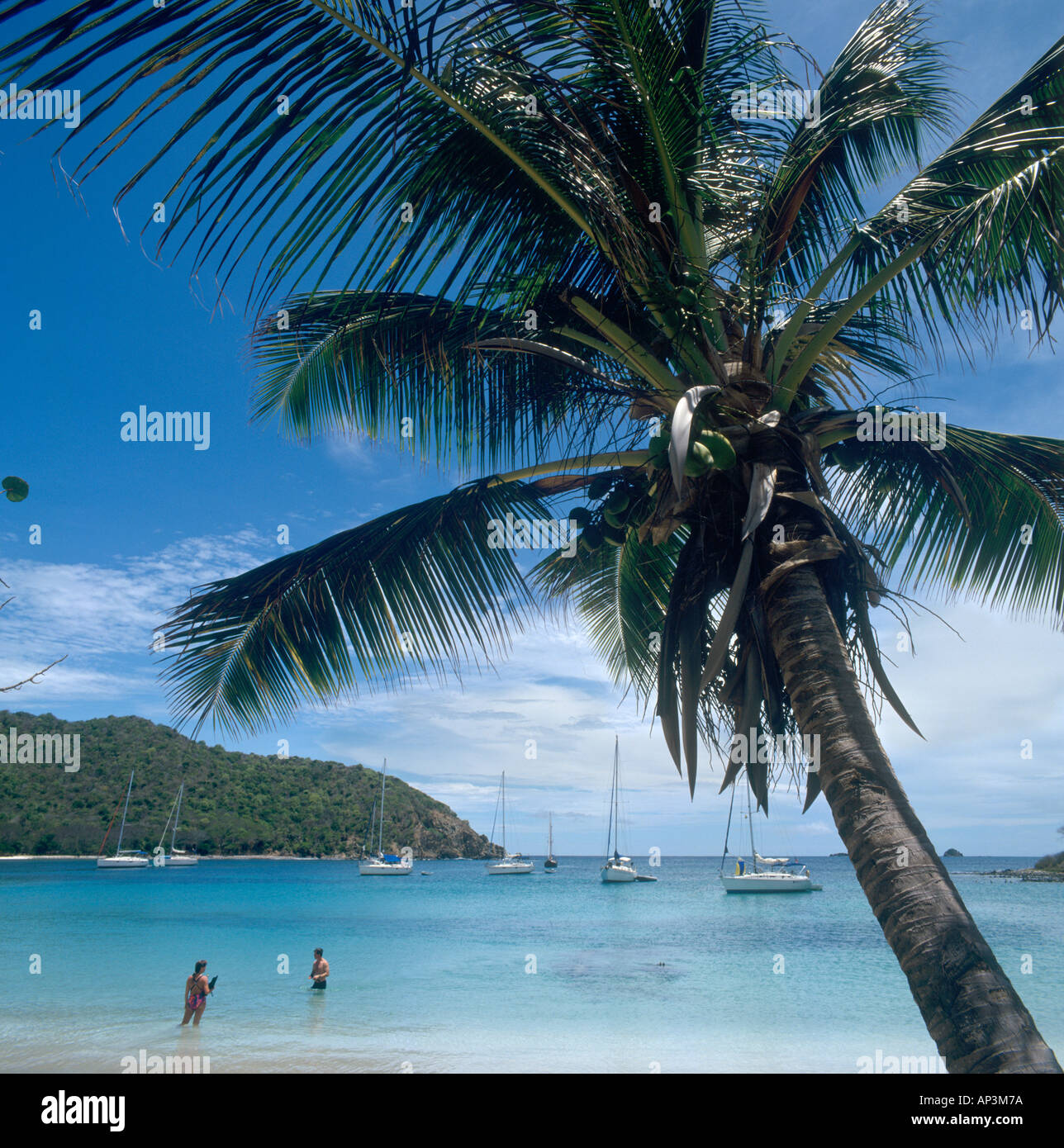 Blick auf das Meer aus Strand, Saltwhistle Bay Mayreau, die Grenadinen, Karibik, West Indies Stockfoto