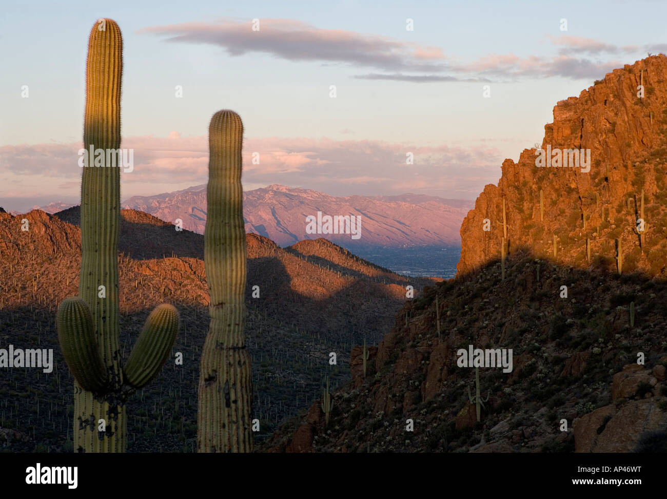 Ein Blick von Gates Pass Tucson und die Catalina mountains Stockfoto