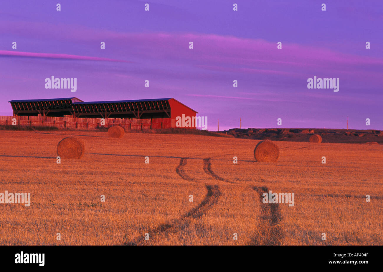 Landwirtschaft Stockfoto