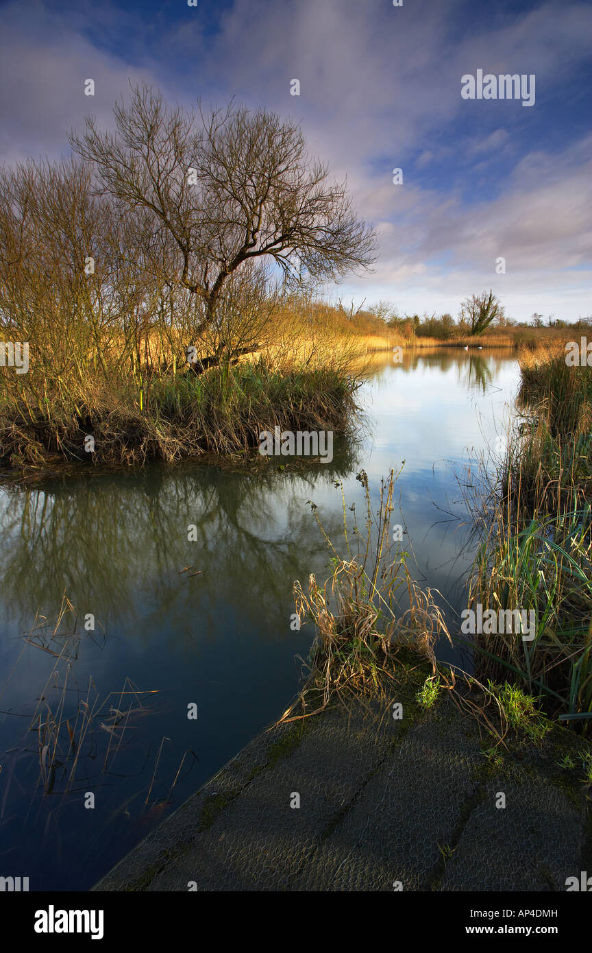 A "Tiefen Gewässern" eine kleine breit in Wheatfen Nature Reserve in den Norfolk Broads anzeigen Stockfoto