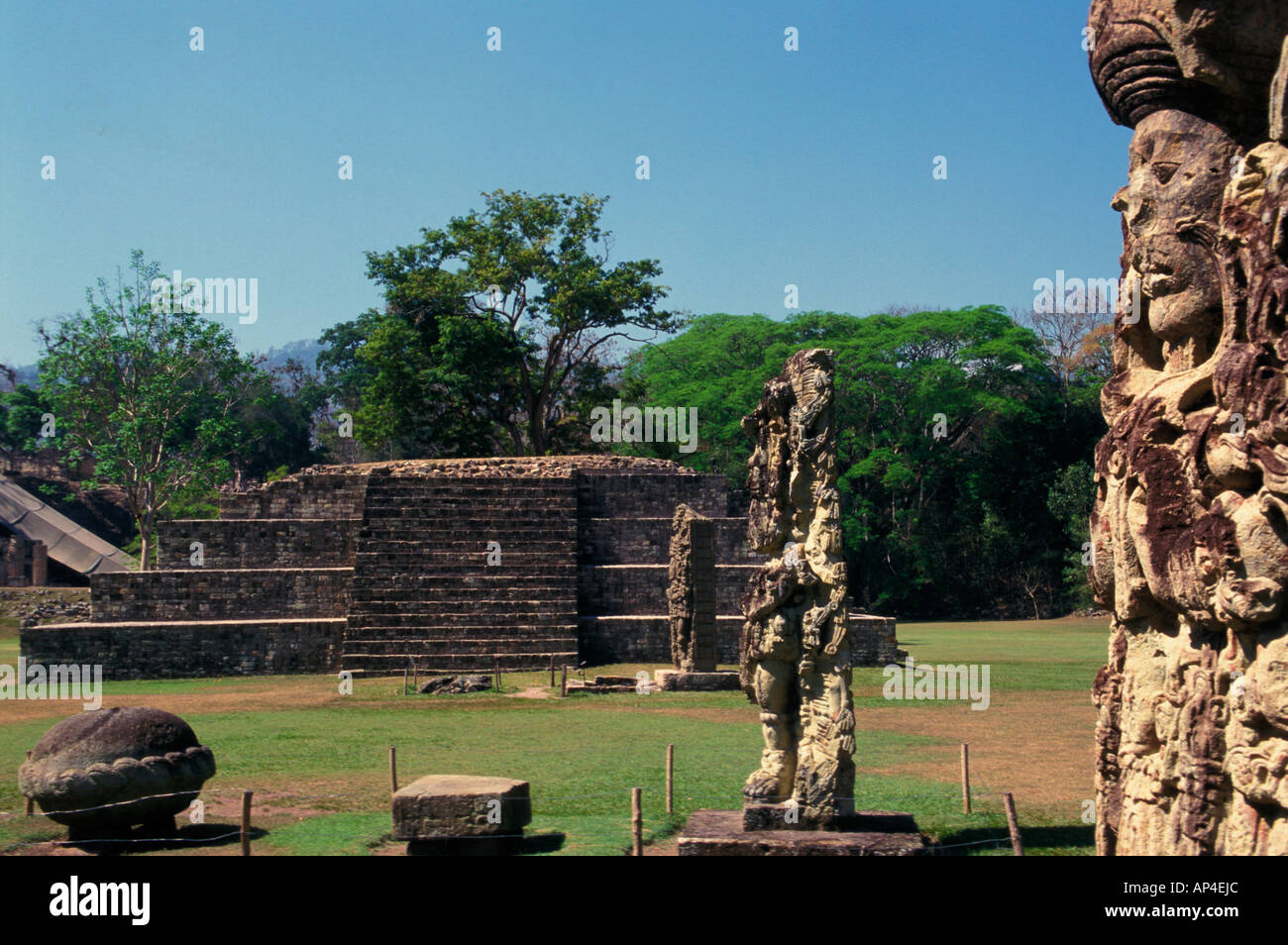 Honduras, Copan, Gran Plaza. Tempel IV, Stele A, 4 und B. Stockfoto
