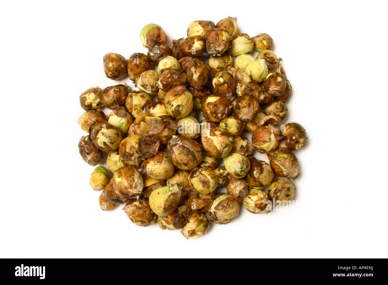 Ein Haufen von faulen Brussell Sprossen. Stockfoto