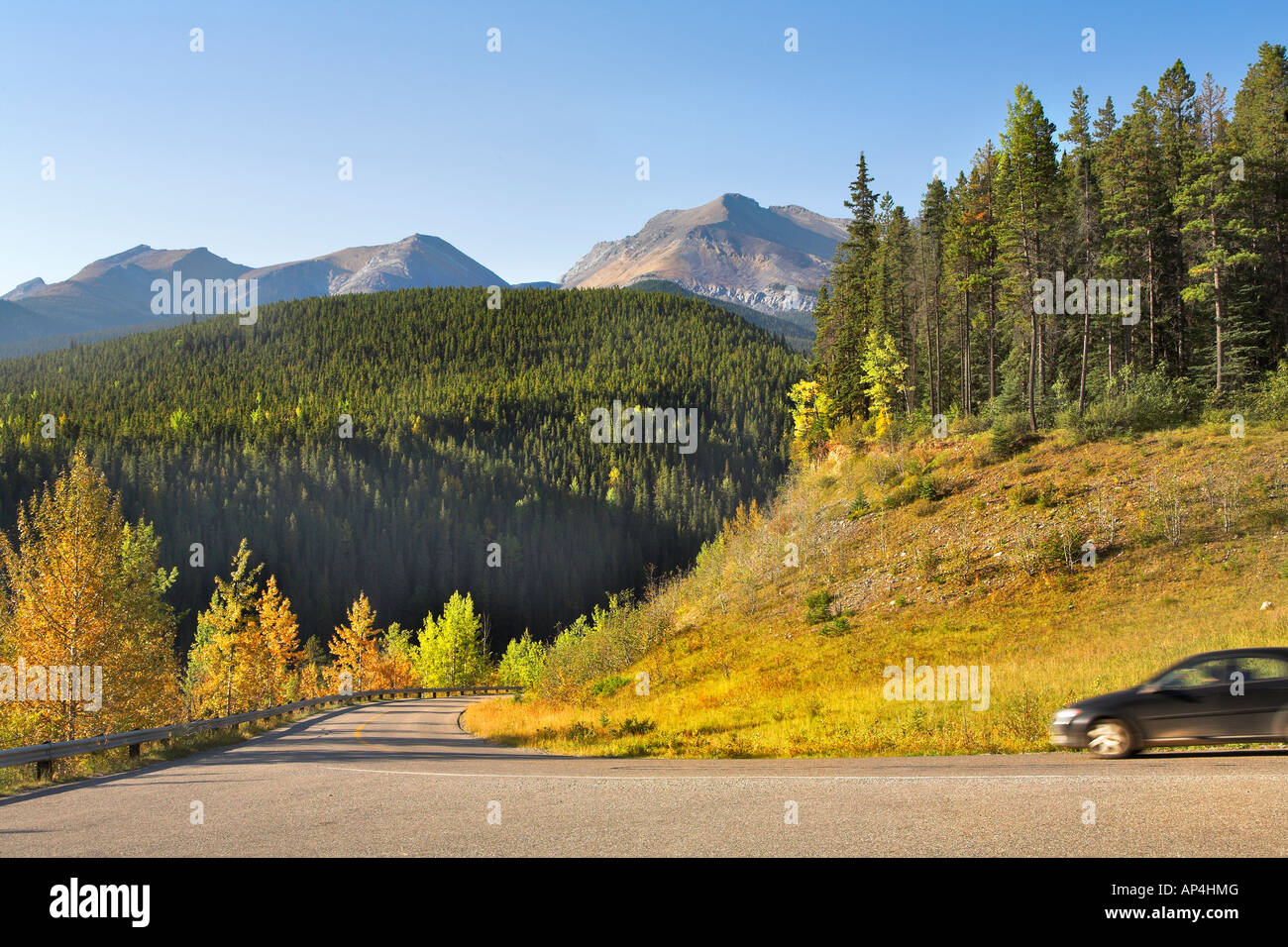 Reservieren Sie das Auto auf der Straße und Bäume mit gelben und grünen Laub in den Bergen Stockfoto