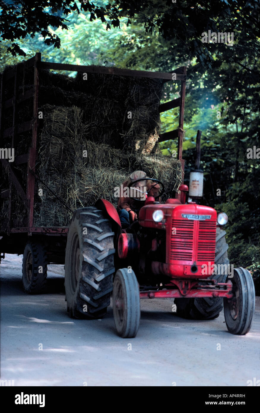 Bärtige Bauer mit dem Traktor eine Zuglast von Heu Stockfoto