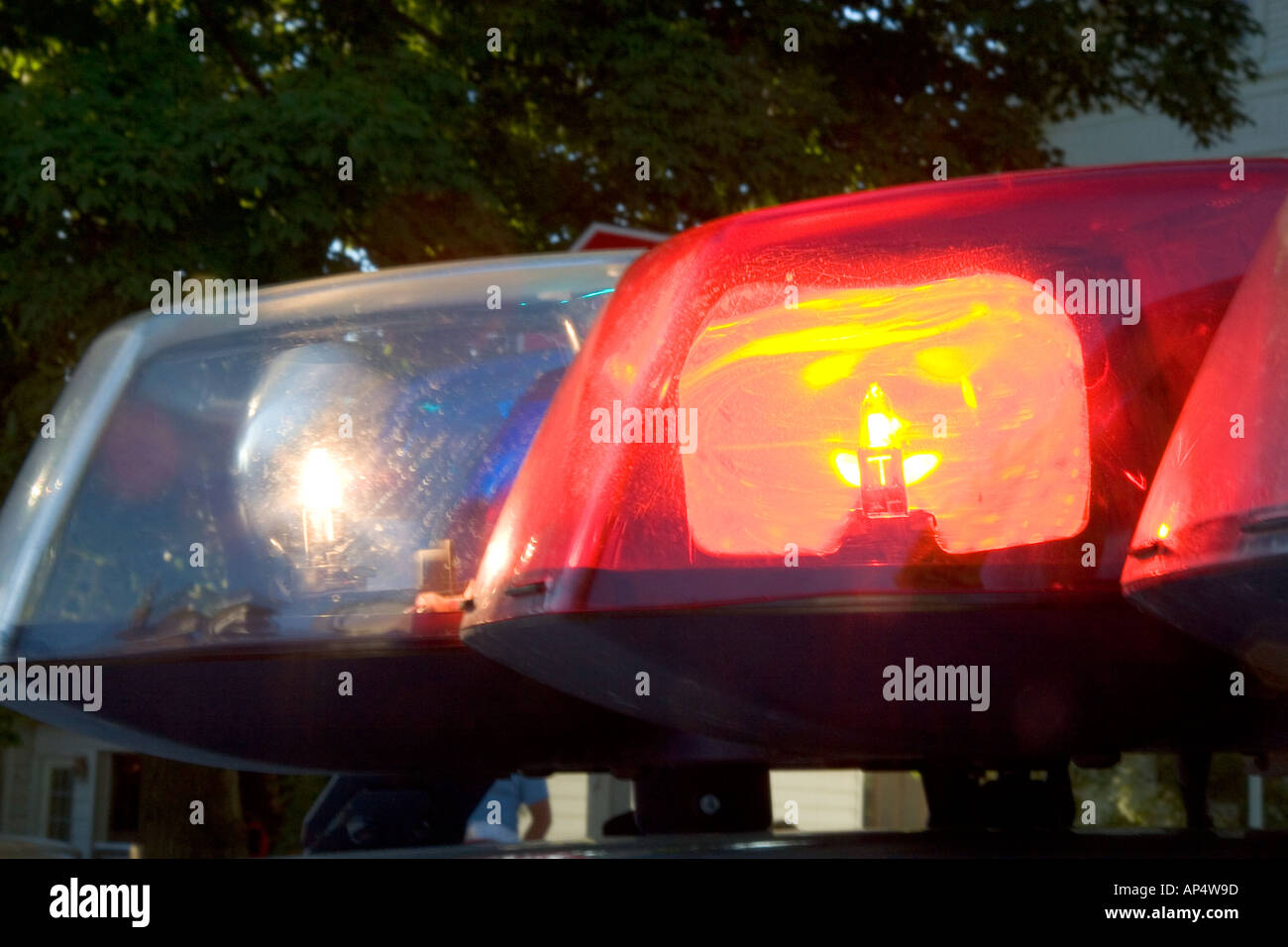 Blinkende Lichter auf ein Polizeiauto Stockfoto