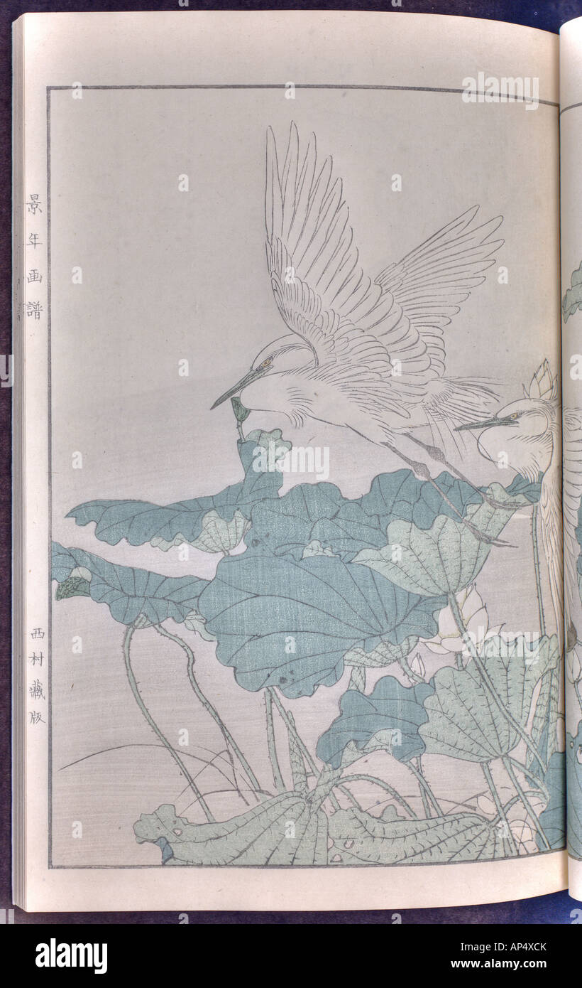Vogel und Blume Illustrationen von Mottoshow: Sommer 1891 Seite 25 Stockfoto