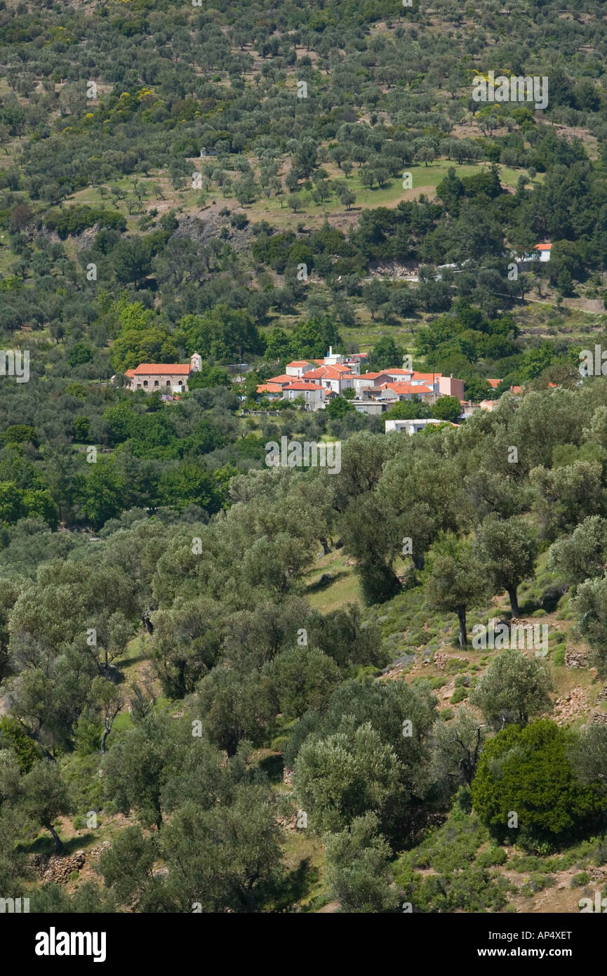 Griechenland, nordöstlichen Ägäischen Inseln, Lesbos (Mytilini), Mt. Olympos: Ansicht des Dorfes STAVROS Stockfoto