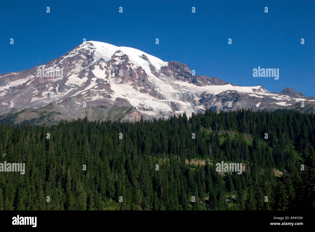 Mount Rainier in Mount Rainier Nationalpark Washington Stockfoto