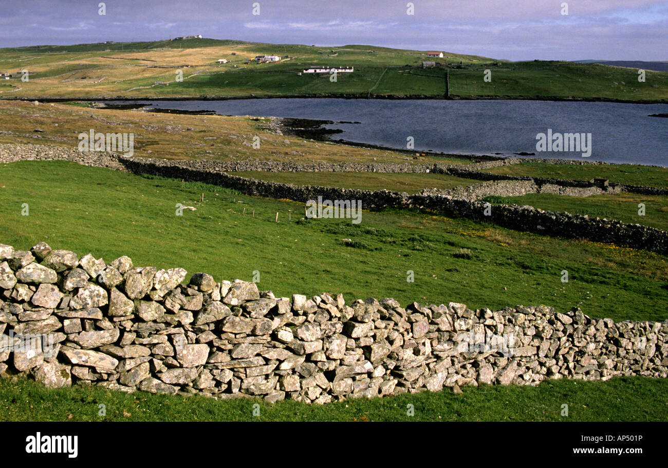 Trockenmauern in Shetland Stockfoto