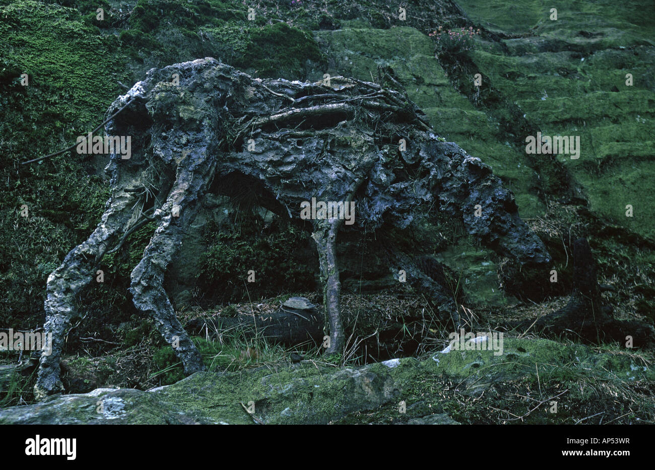 "Wölfe", (Detail). Outdoor-Skulptur von Sally Matthews, 1993. Grizedale Forest Park, Lake District National Park, Cumbria. Stockfoto