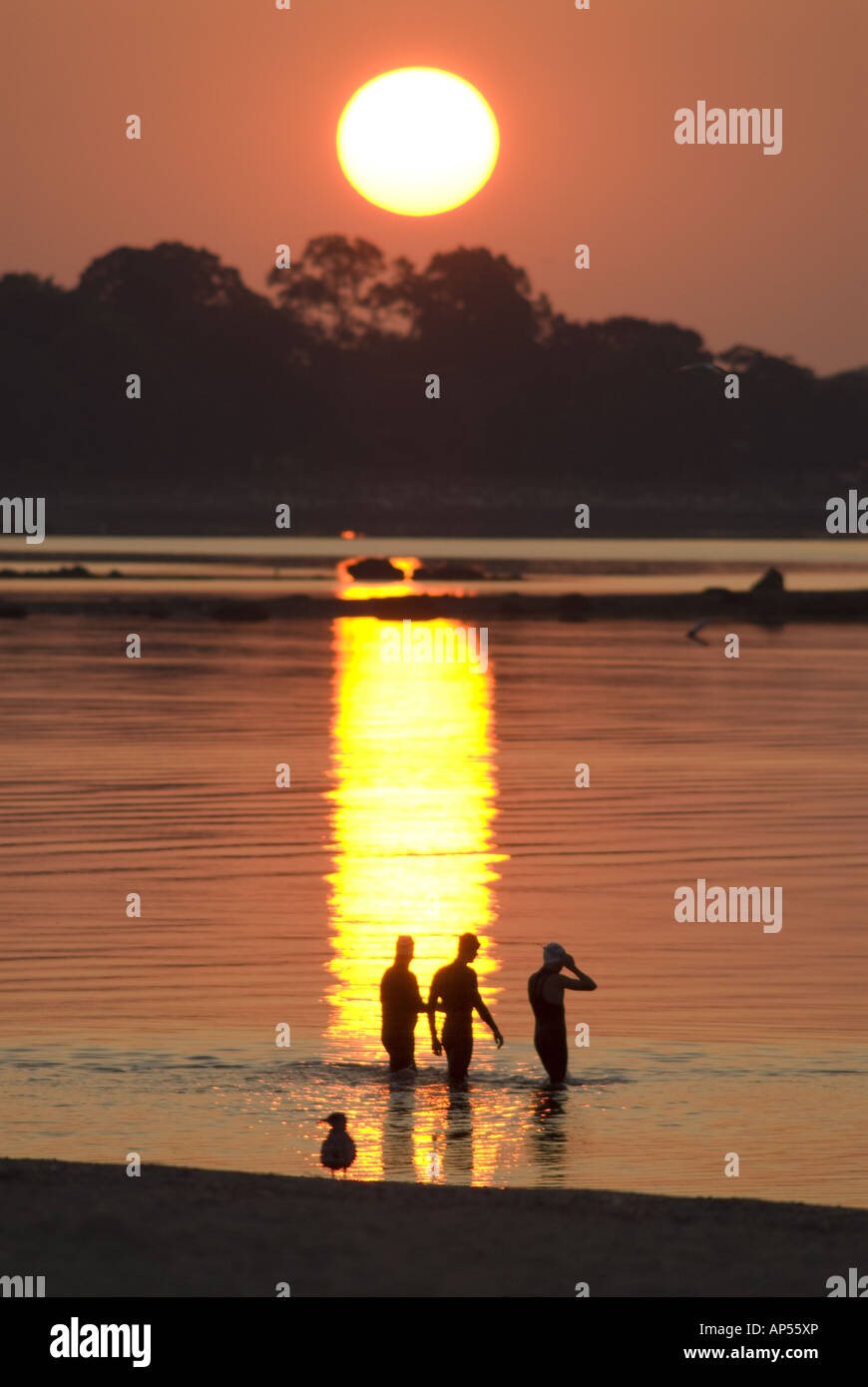 Sonnenaufgang über Silhouette stehend Schwimmer im Wasser, Compo Strand, Westport, CT, USA. Stockfoto