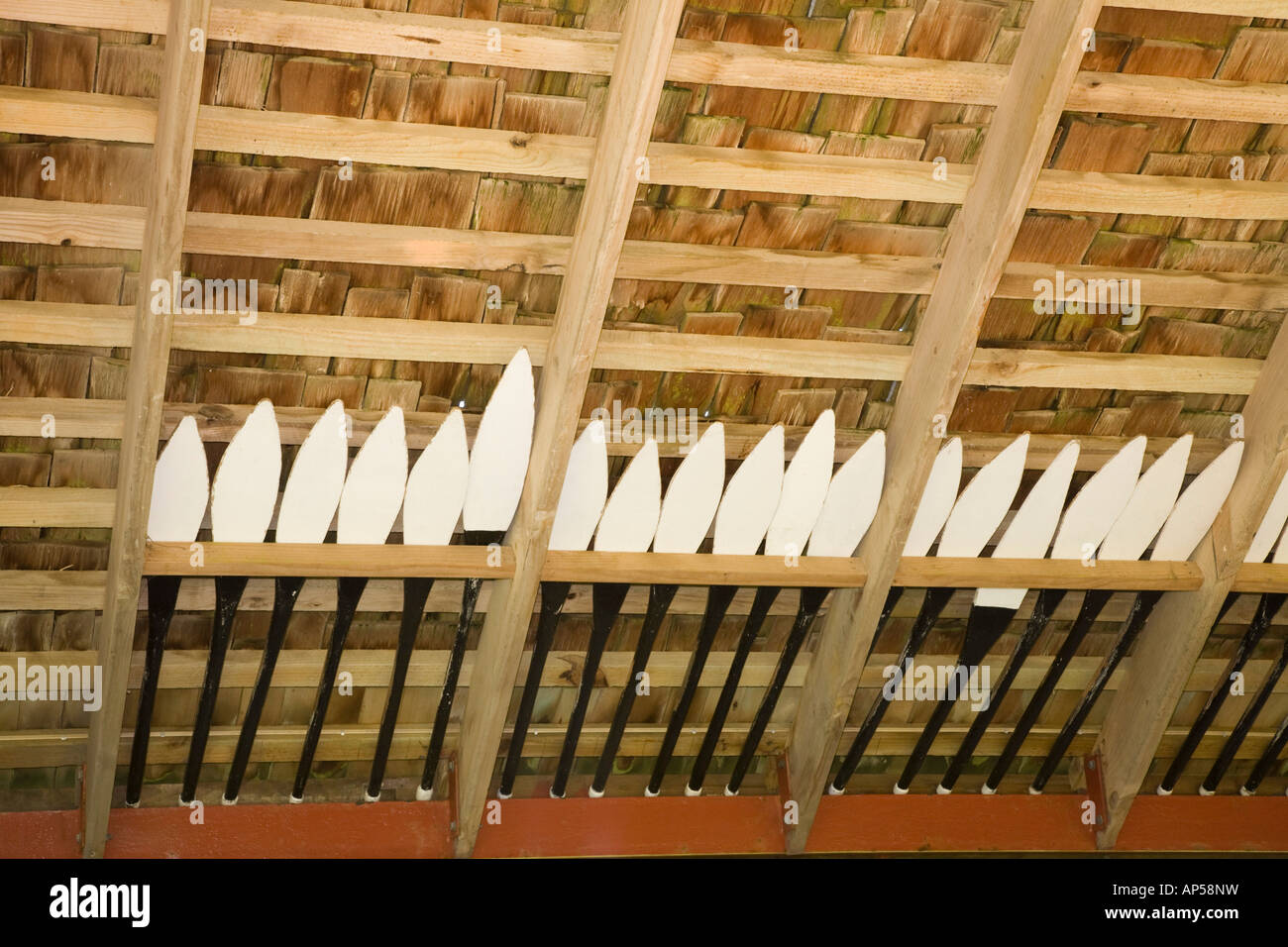 Maori Waka Kanu Paddel in Dach Whare Waka-Kanu-Hauses am Waitangi National Reserve in Vertrag Haus Grundstück Neuseeland Stockfoto