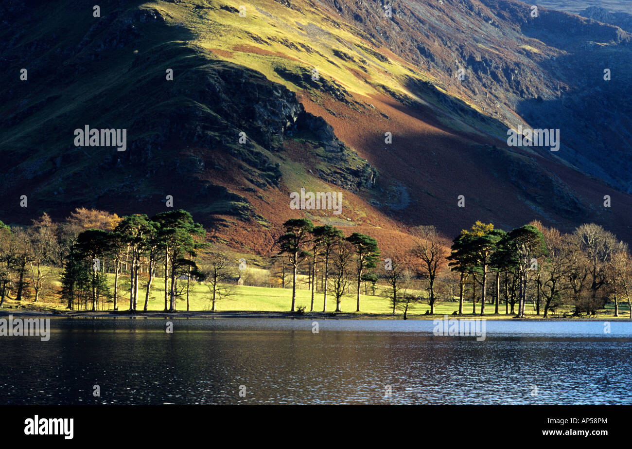 Fleetwith Hecht Buttermere das Seengebiet Cumbria England Großbritannien Stockfoto