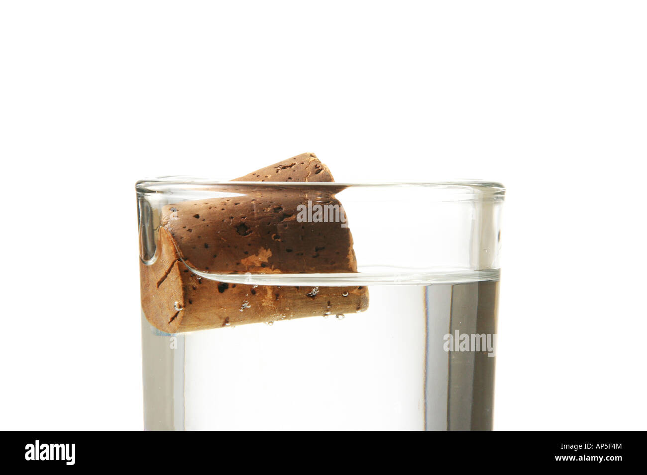 Corck schwimmt auf Wasser Stockfoto