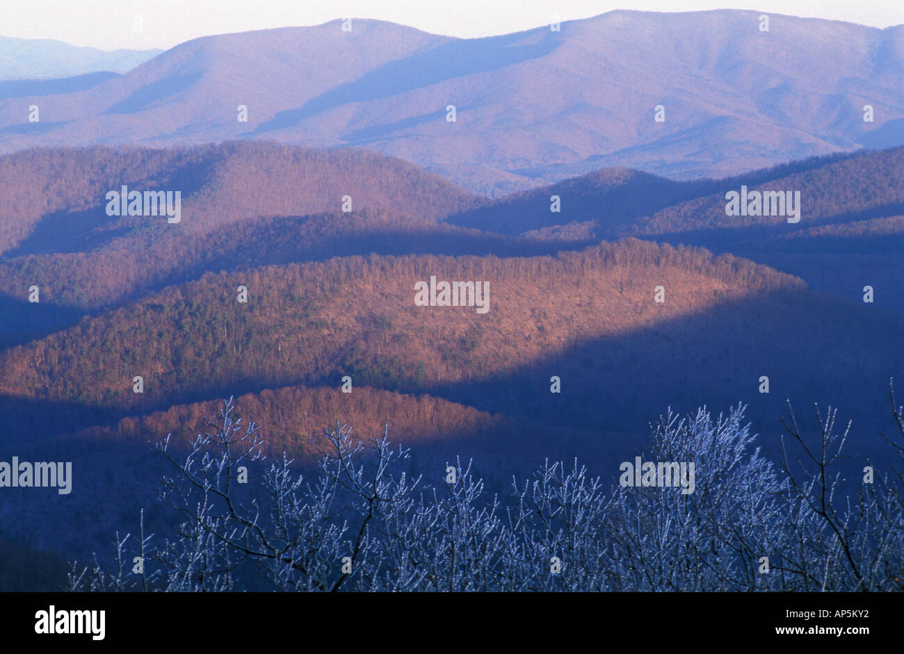 Chattahoochee NF, GA. Chattahoochee NF, GA Stockfoto