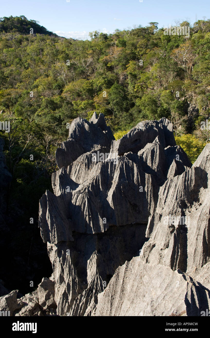 die Ankarana Massif, Tsingy und Laubwald, Ankarana spezielle Reserve, Madagaskar Stockfoto