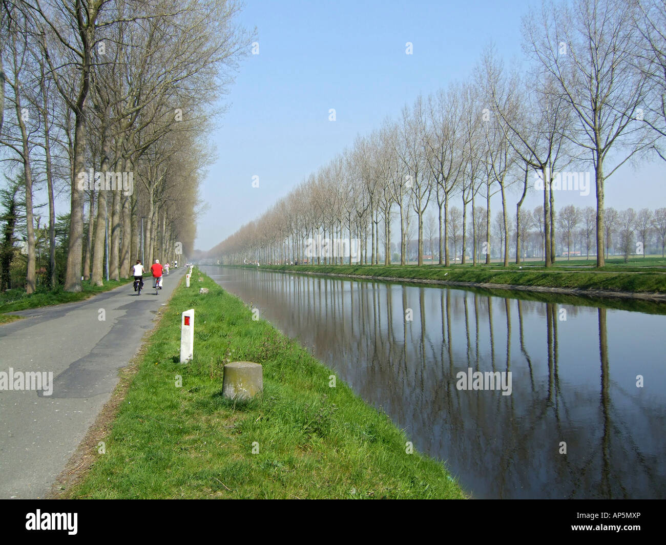 Radfahren entlang der Leinpfad des Baumes ausgekleidet Damse Vaart Kanal zwischen Brügge und Damme, Belgien Stockfoto