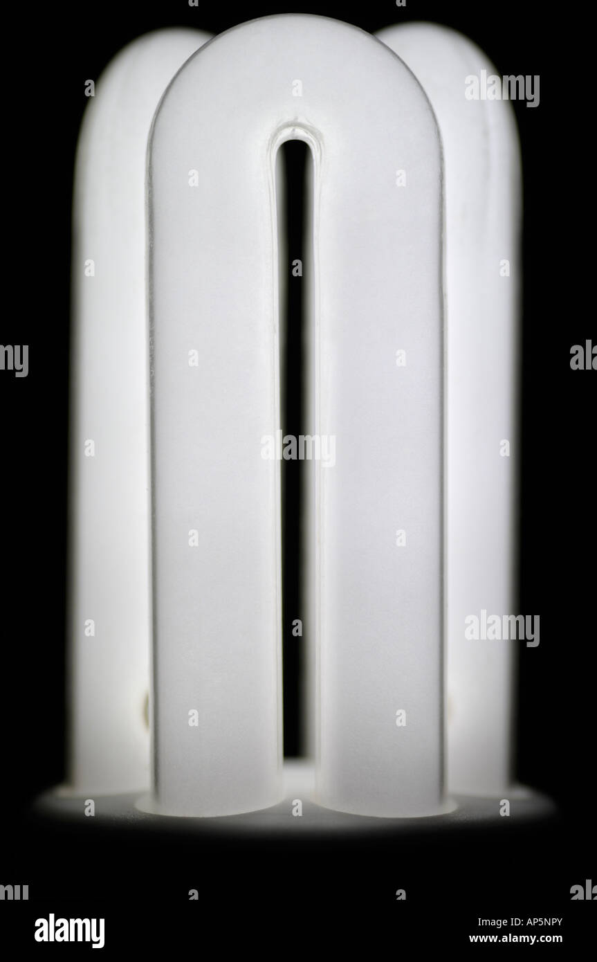 Energie effiziente kompakte Leuchtstoff Glühbirne Nahaufnahme Stockfoto