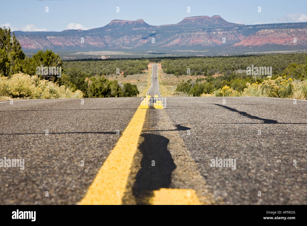 Straße durch Manti La Sal Wald in Utah, USA Stockfoto