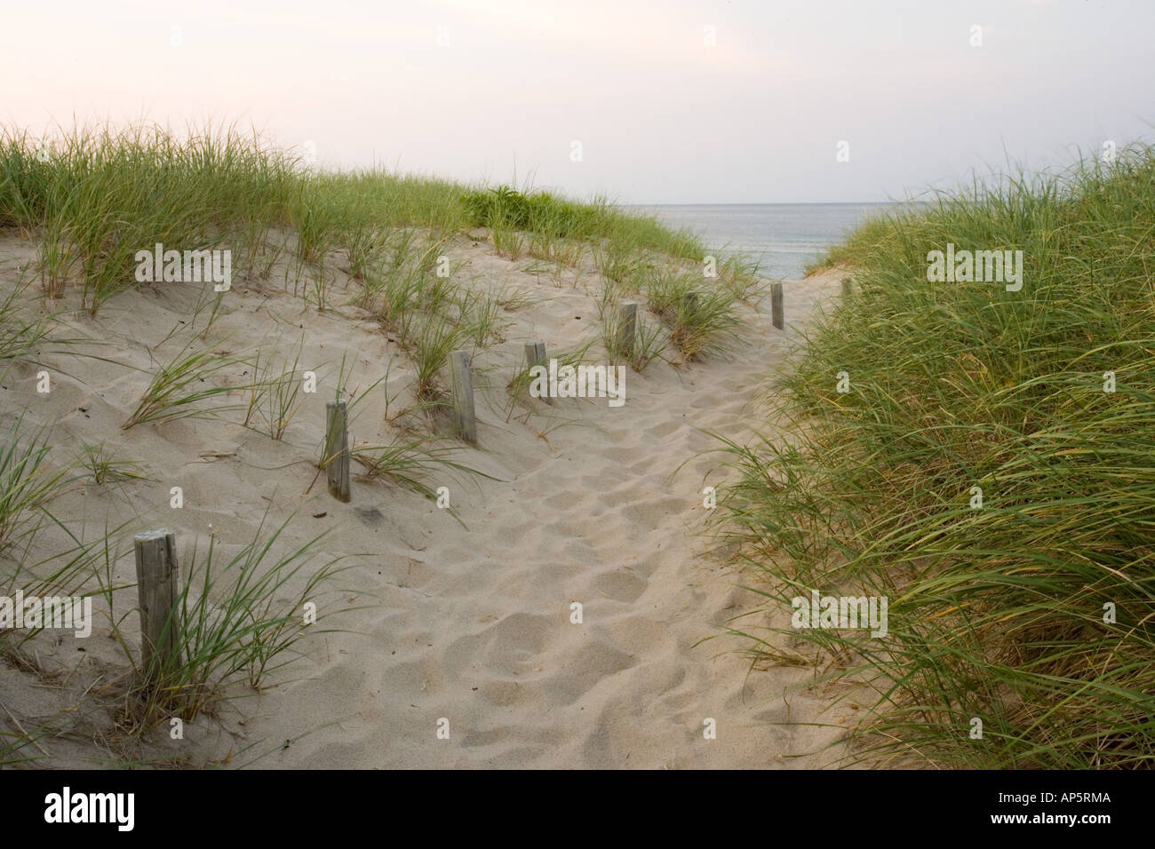 Ein Pfad durch die Dünen an Spitze der Wiese Strand auf Cape Cod National Seashore in Truro, Massachusetts. Stockfoto