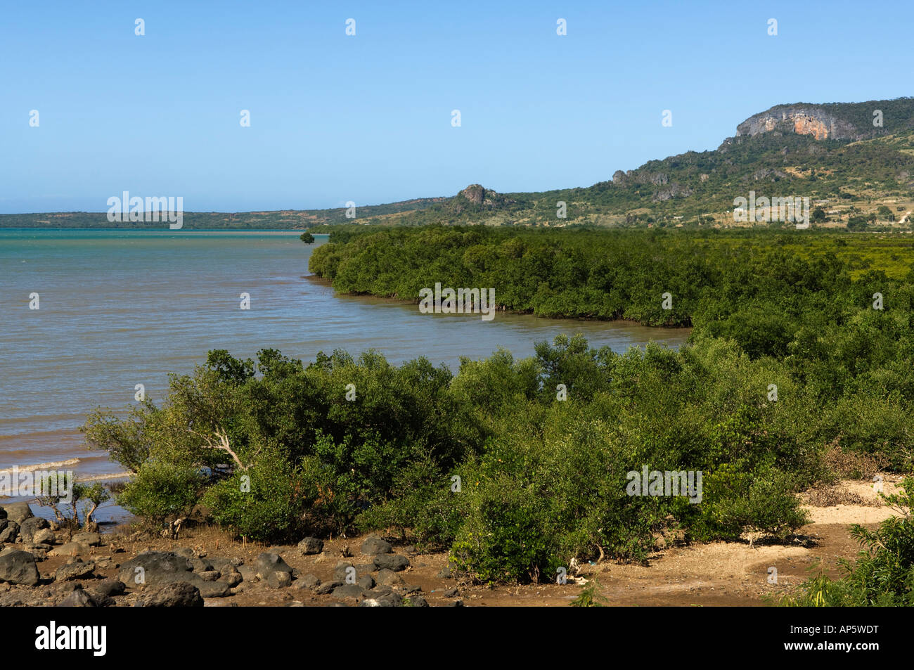 Mangroven, Bucht von Diego Suarez, Antsiranana, Diego Suarez, Madagaskar Stockfoto