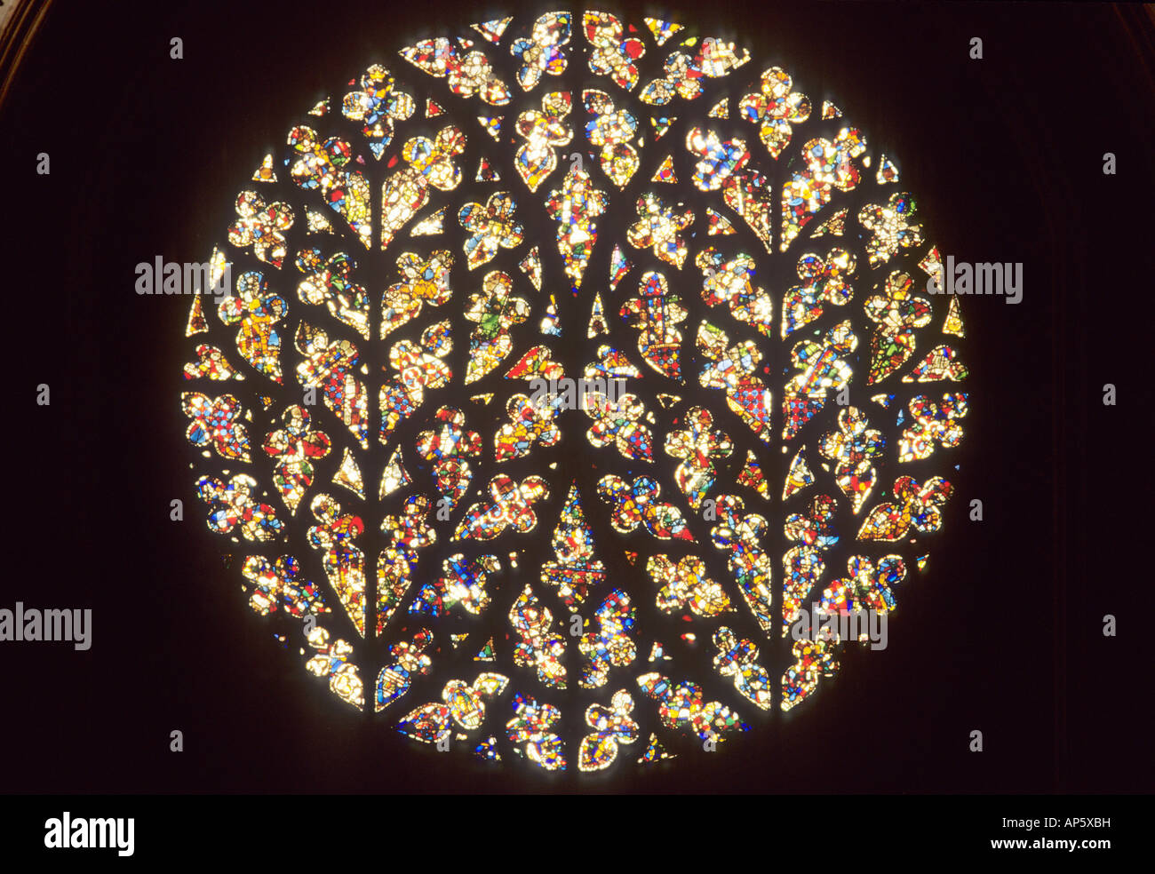Lincoln Kathedrale Glasmalereien Dekane Auge kreisförmige Rosette Stockfoto