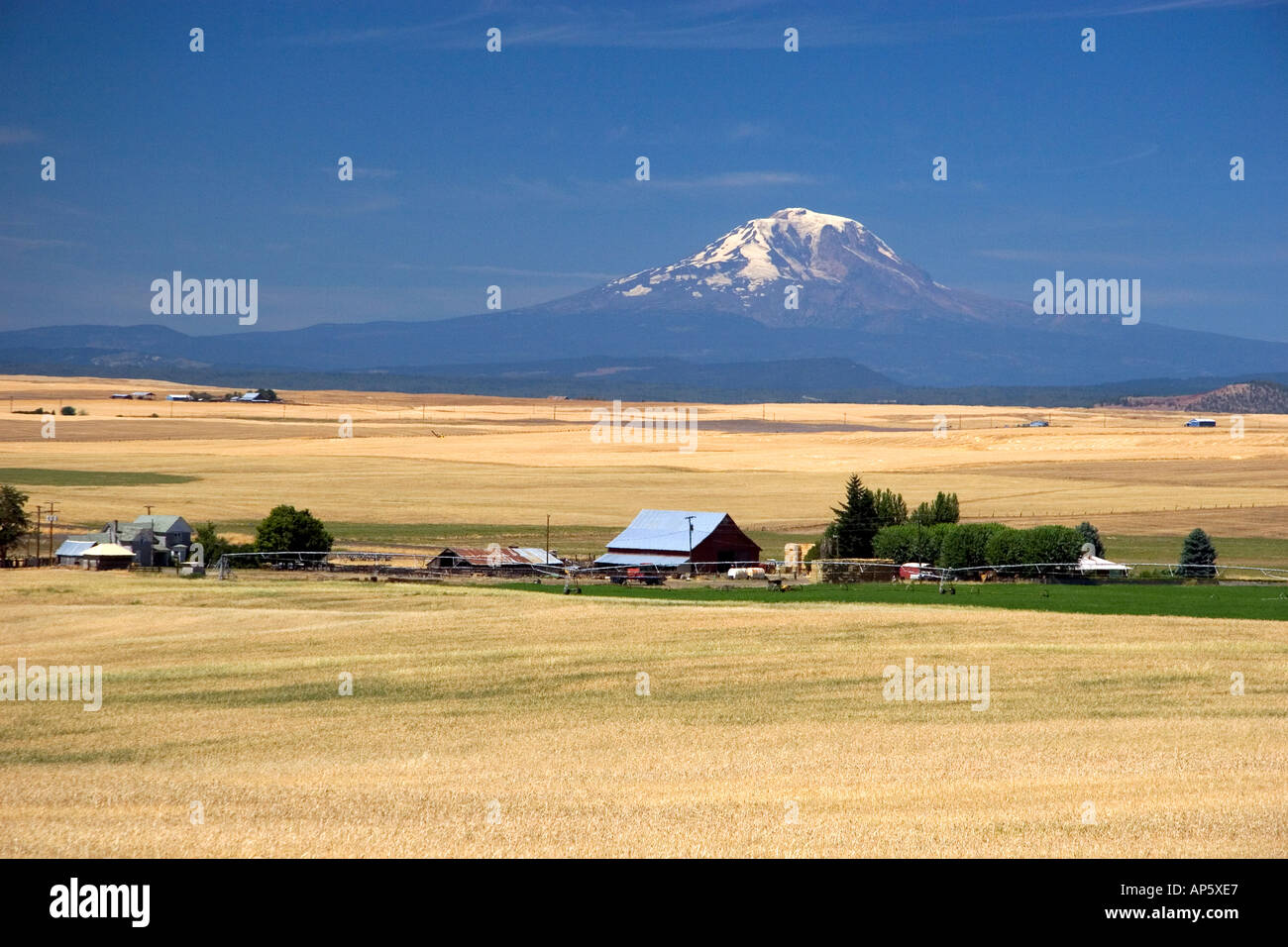 Mt Adams mit Bauernhof im Vordergrund nahe Goldendale, Washington Stockfoto