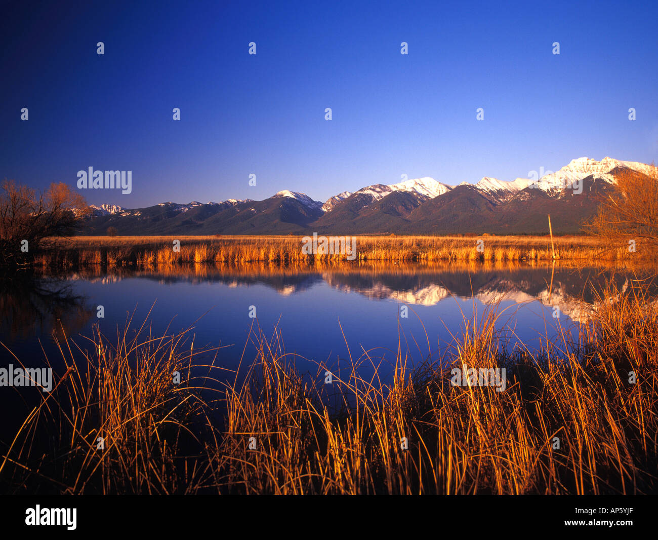 Mission-Sortiment spiegelt in Teich auf Ninepipes NWR im Mission Valley von Montana Stockfoto