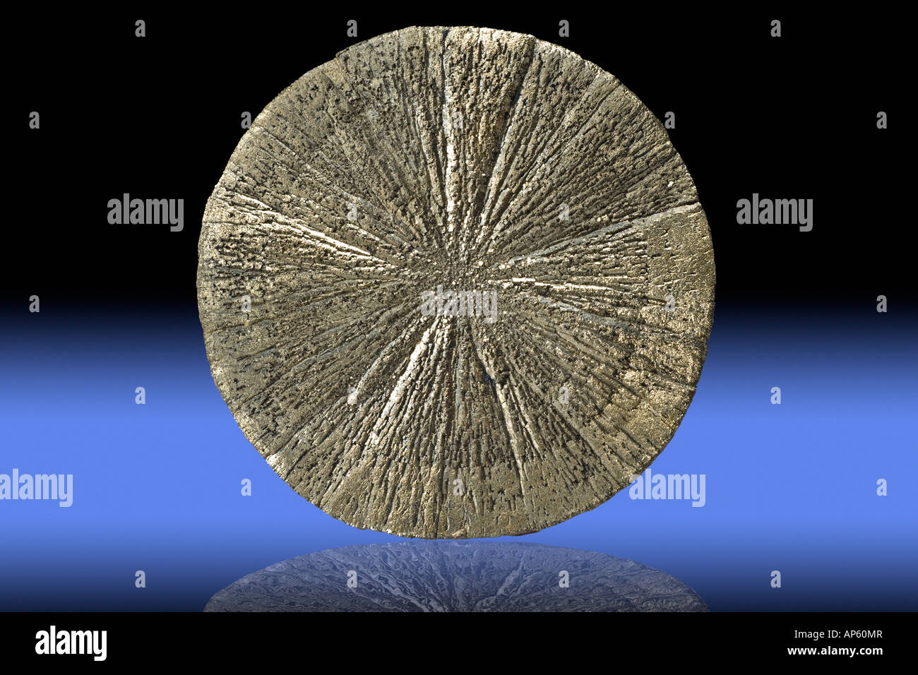 Pyrit-Dollar von Sparta-Illinois Stockfoto