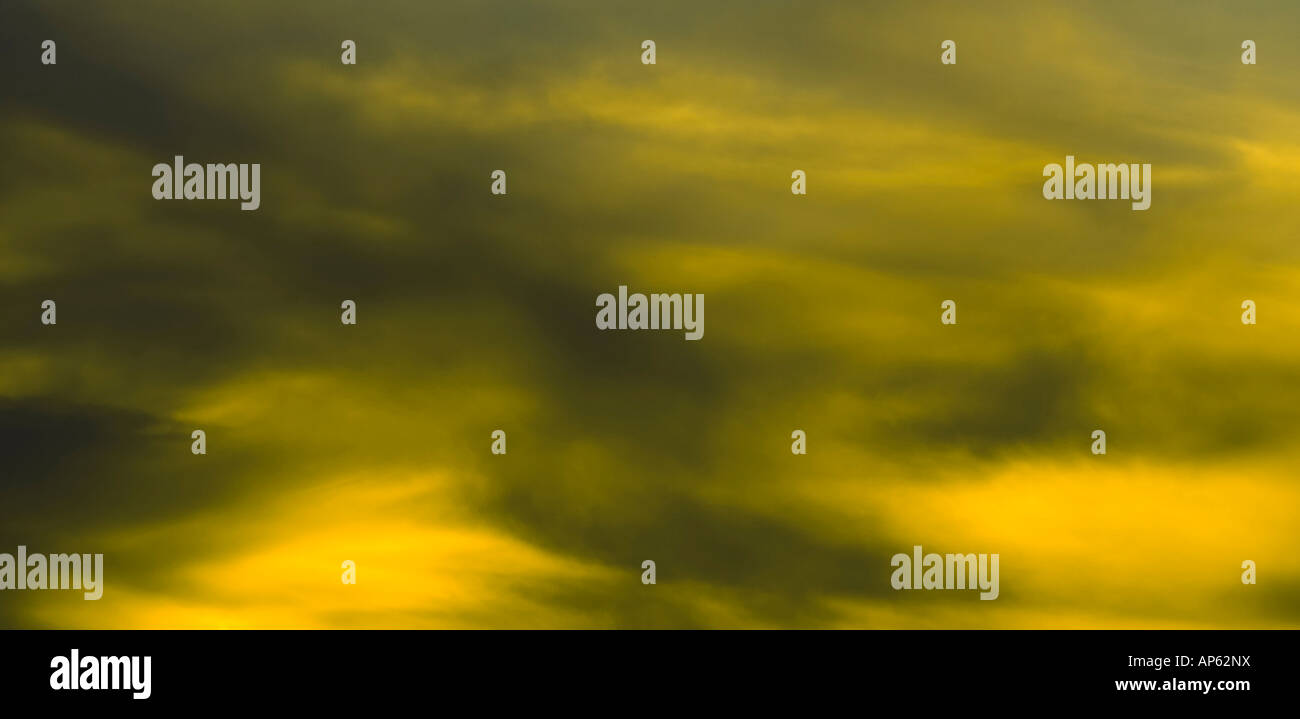 Blanck und gelbem Hintergrund Stockfoto