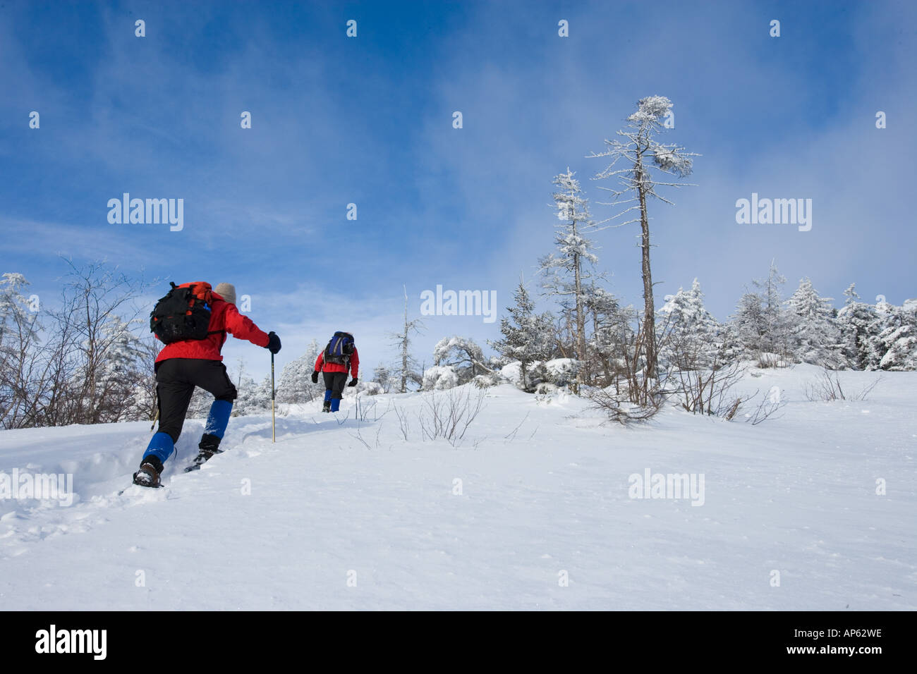 Winterwandern auf Mount Cardigan in New Hampshire. Clark Trail. Canaan, NH. Stockfoto