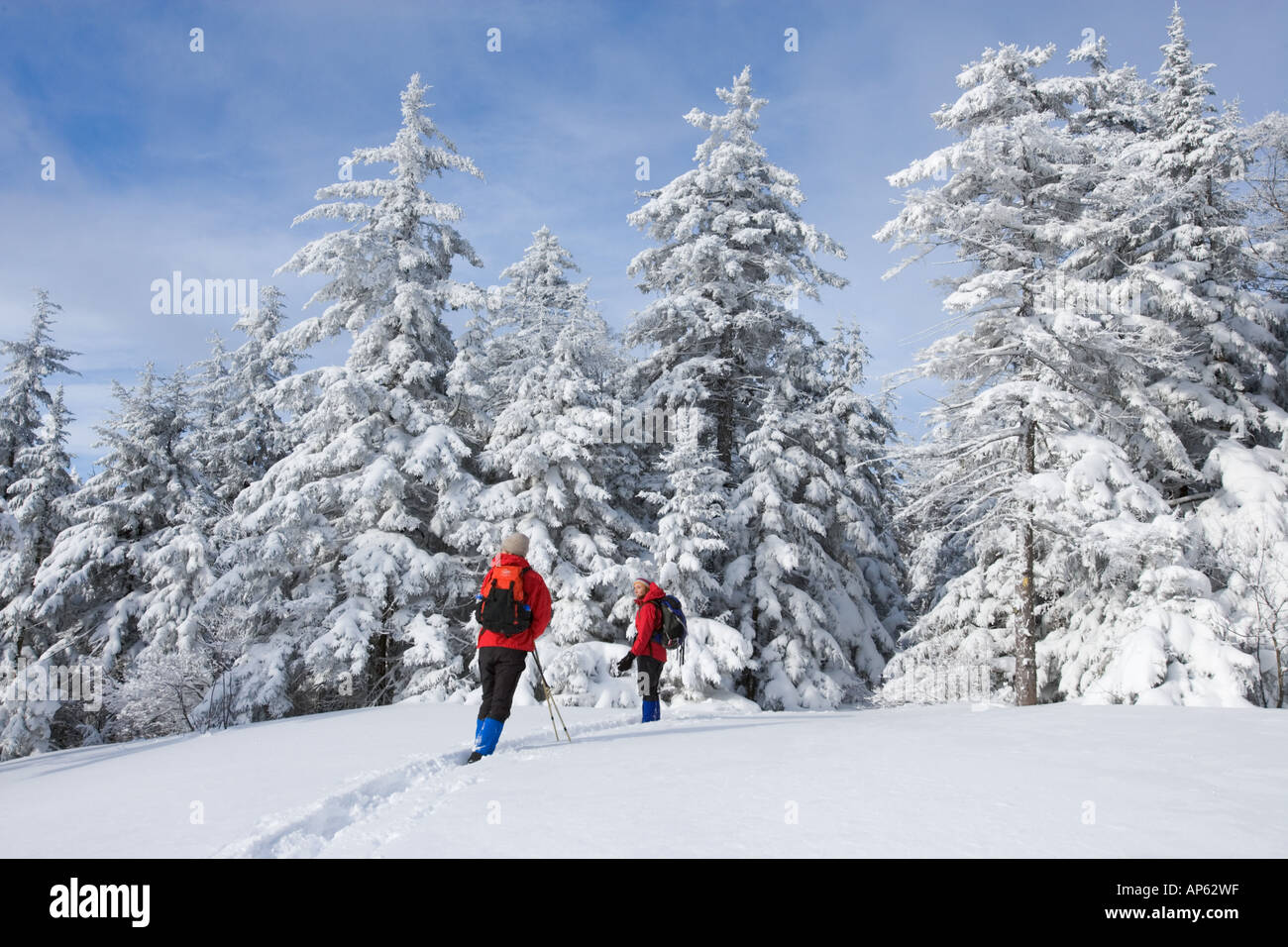 Winterwandern auf Mount Cardigan in New Hampshire. Clark Trail. Canaan, NH. Stockfoto