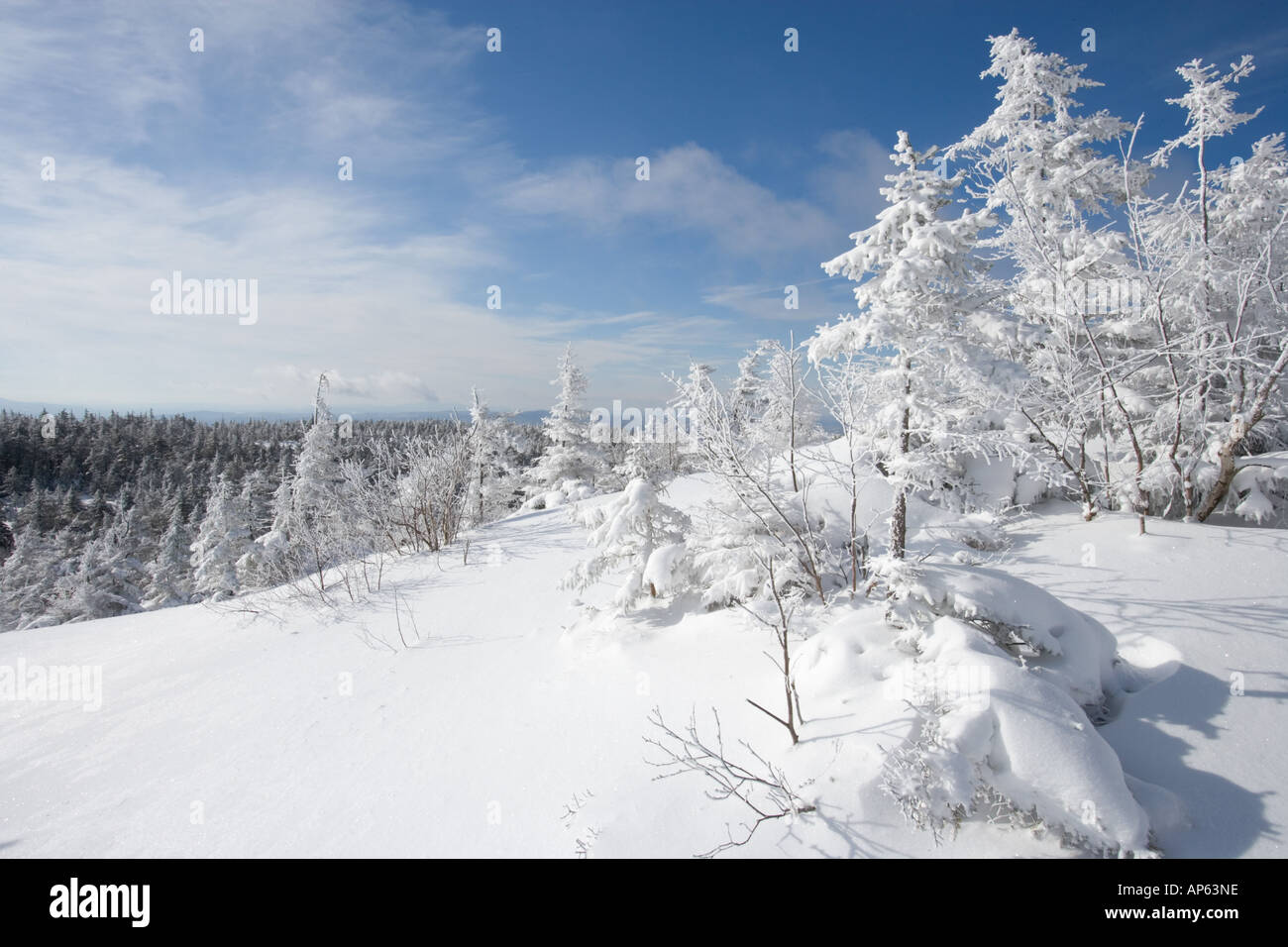 Schnee beladenen Bäumen hoch an den Hängen des Mount Cardigan in Kanaan, NH. Clark Trail. Stockfoto