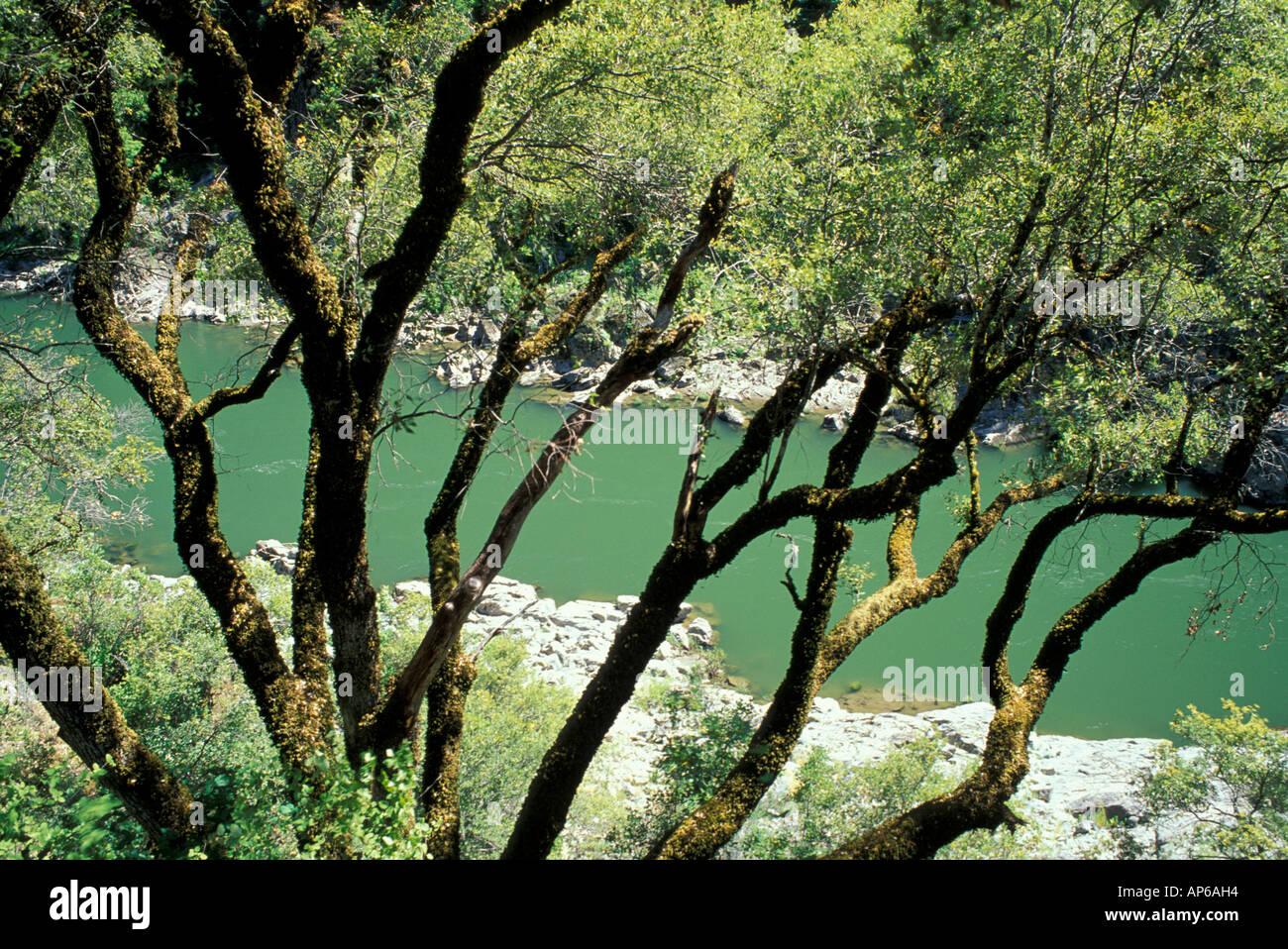 BLM Medford District oder Rogue River. Siskiyou Mountains. Von Rogue River Trail. Juni Stockfoto