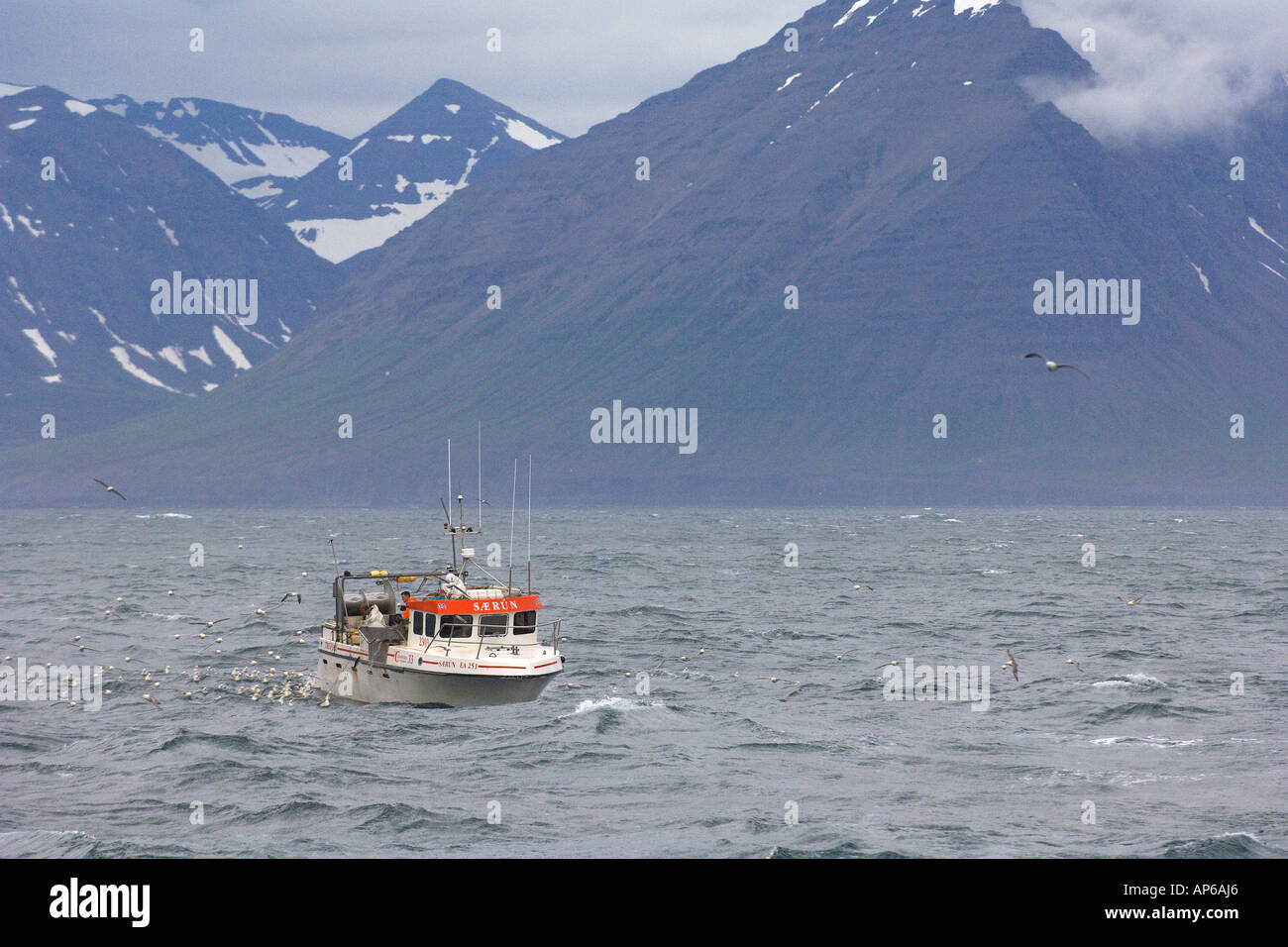 Isländische Langleinen Fischereifahrzeug aus Norden Islands Juli 2006 Stockfoto